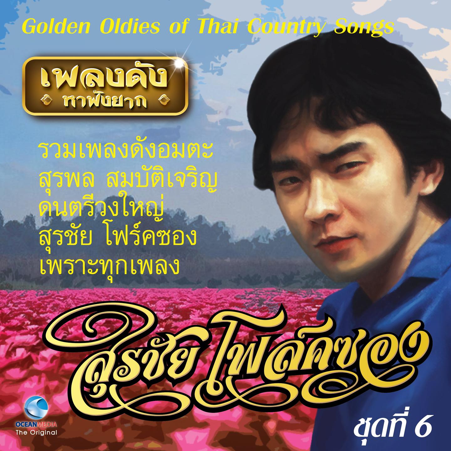 เพลงดังหาฟังยาก ชุดที่ 6