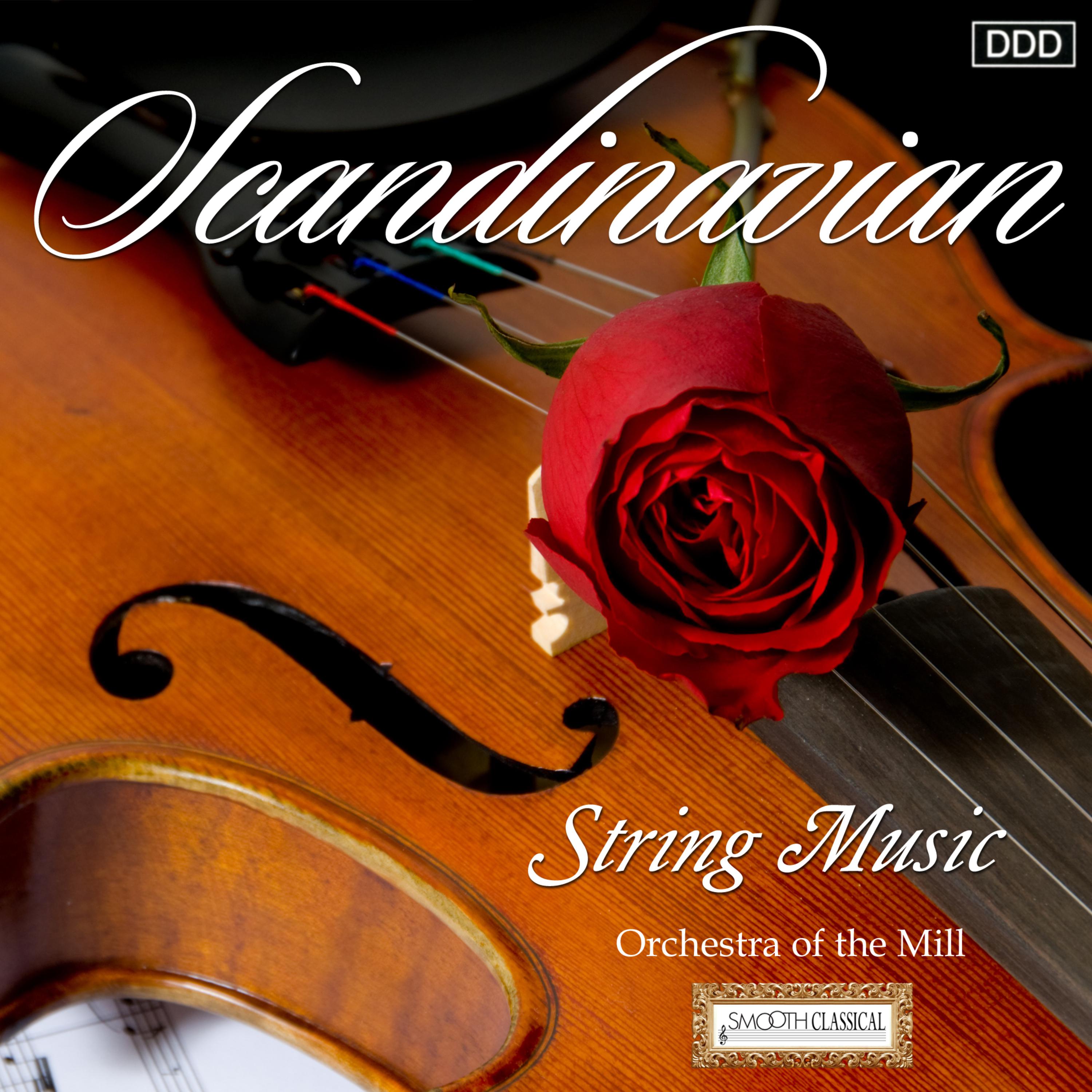 Suite for Strings in A Minor, Op. 1, FS 6: II. Intermezzo. Allegro moderato