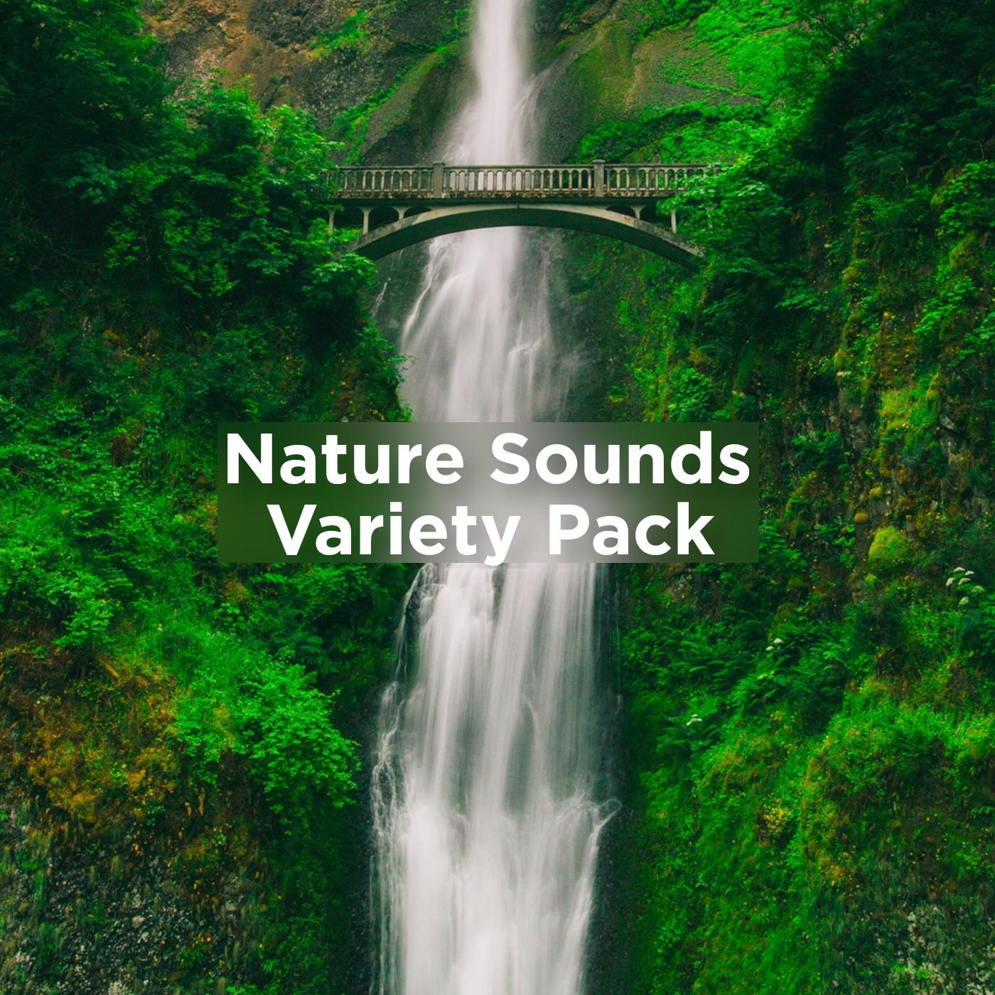 Pink Noise & Nature