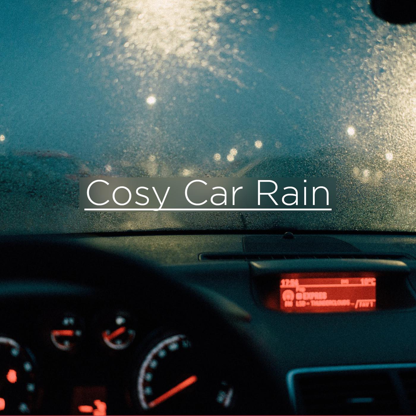 Cozy Car Rain