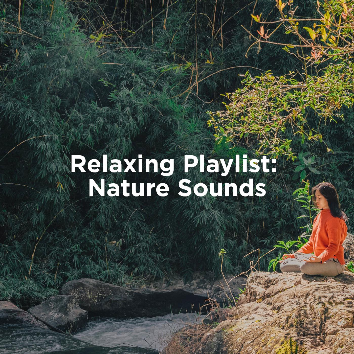 Relaxing Playlist: Nature Sounds