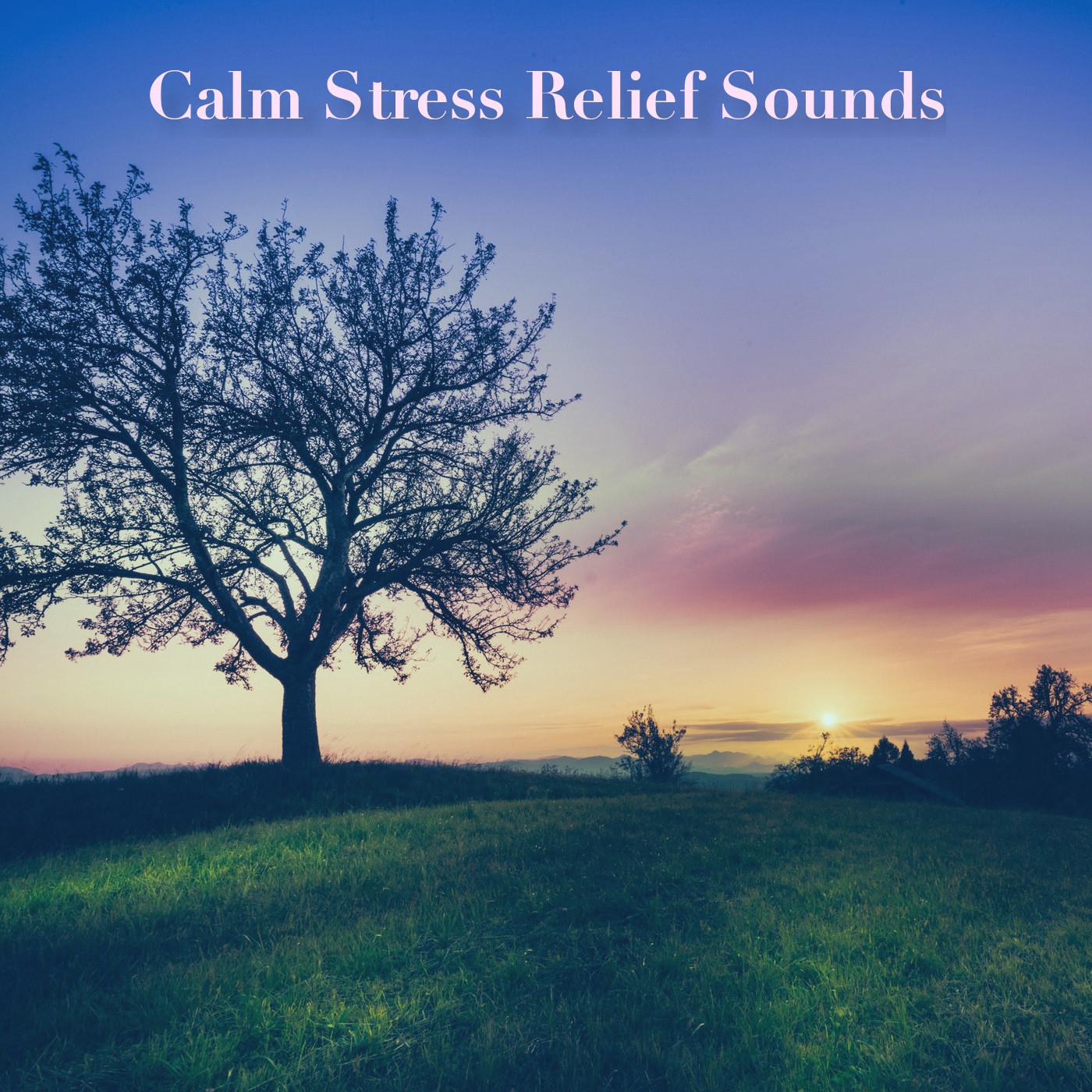 Calm Stress Relief Sounds