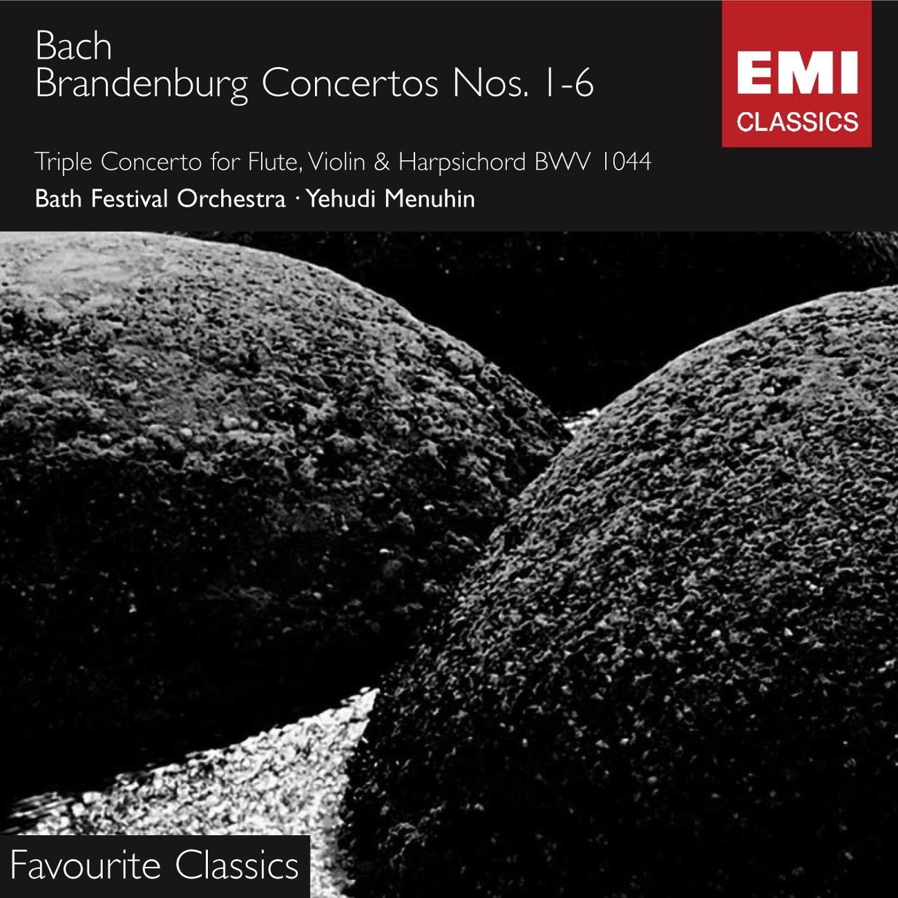 Brandenburg Concerto No. 4 in G BWV1049 (1988 Digital Remaster): II.   Andante