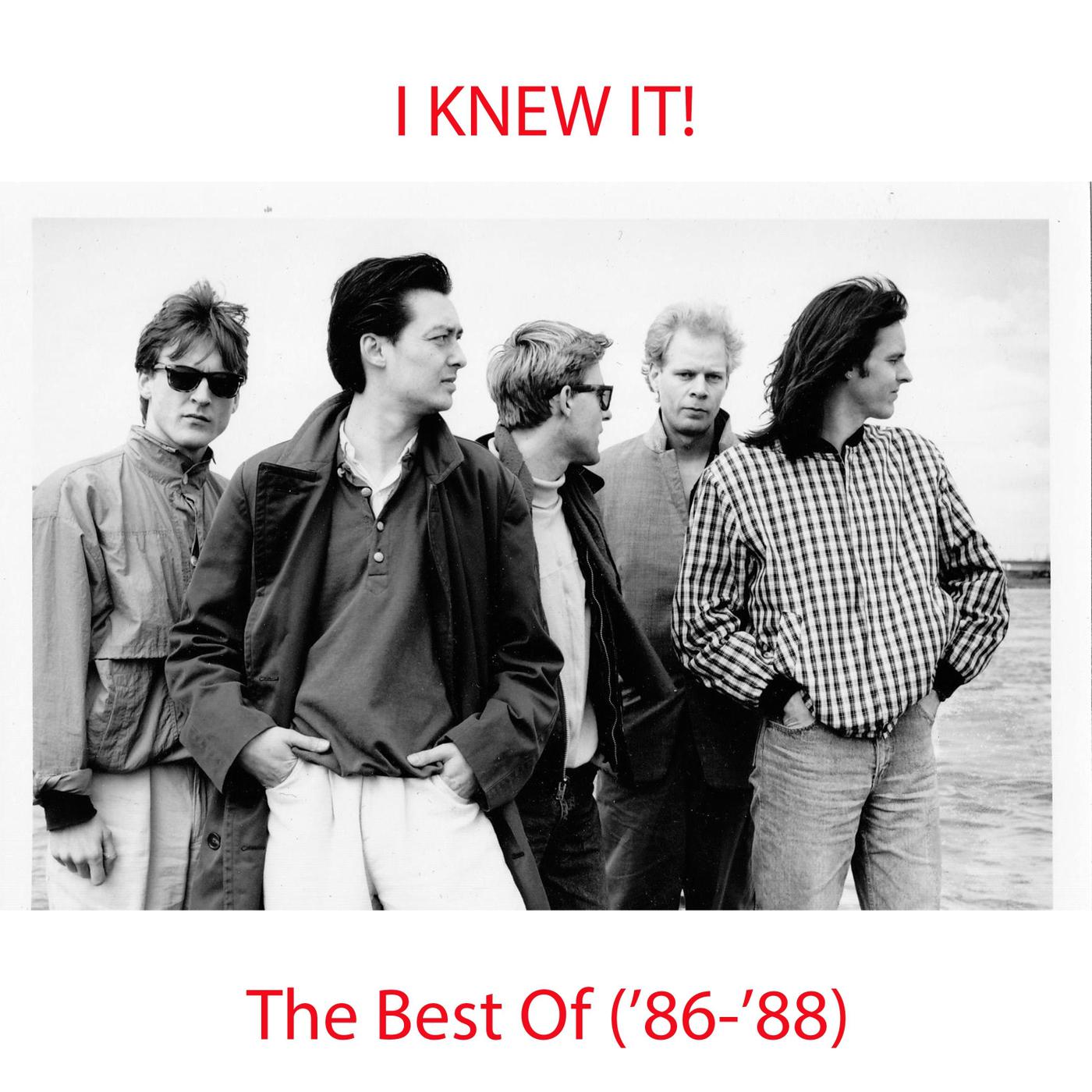 The Best of I Knew It!