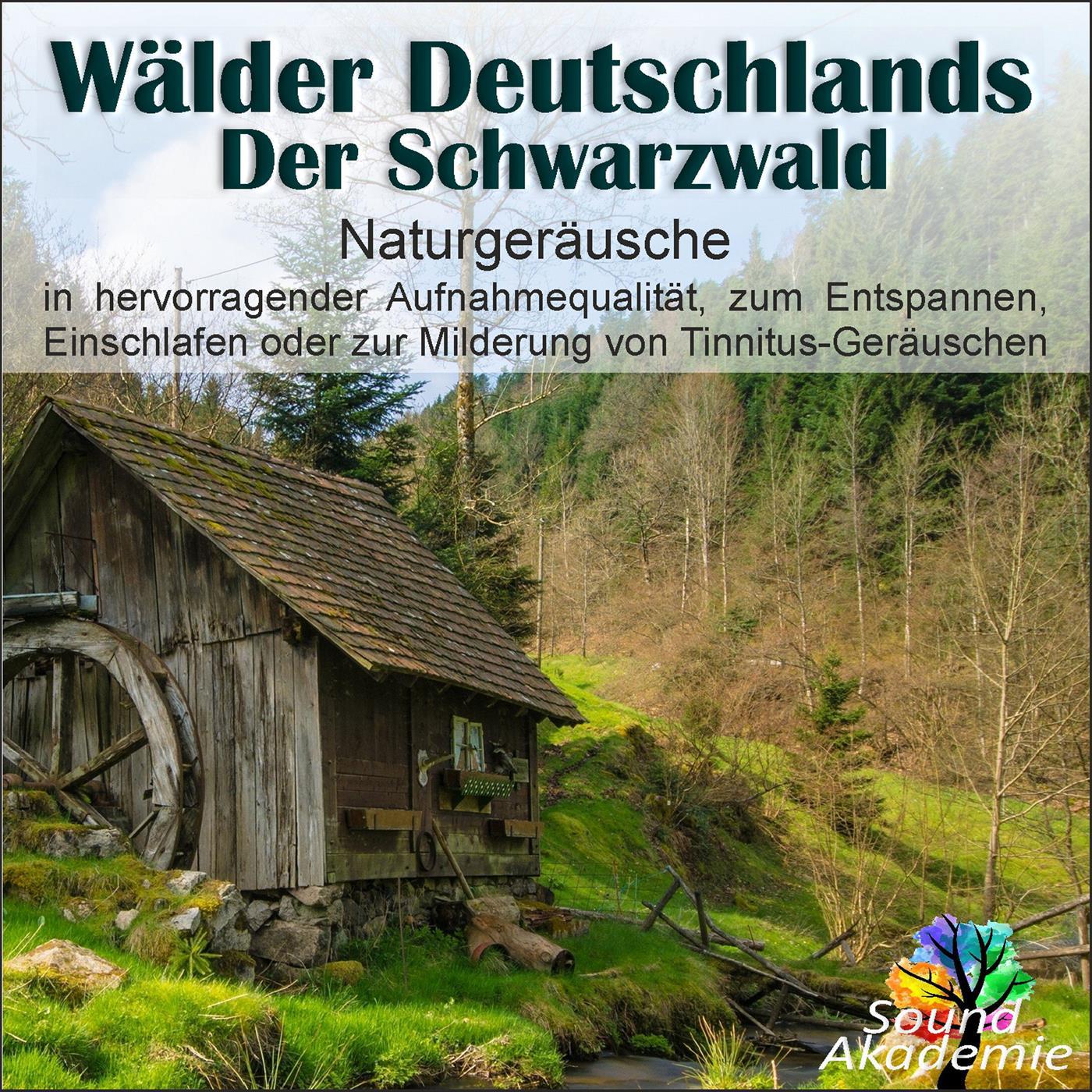 Wälder Deutschlands - Der Schwarzwald, Naturgeräusche in hervorragender Aufnahmequalität, zum Entspannen, Einschlafen oder zur Milderung von Tinnitus-Geräuschen (Live)