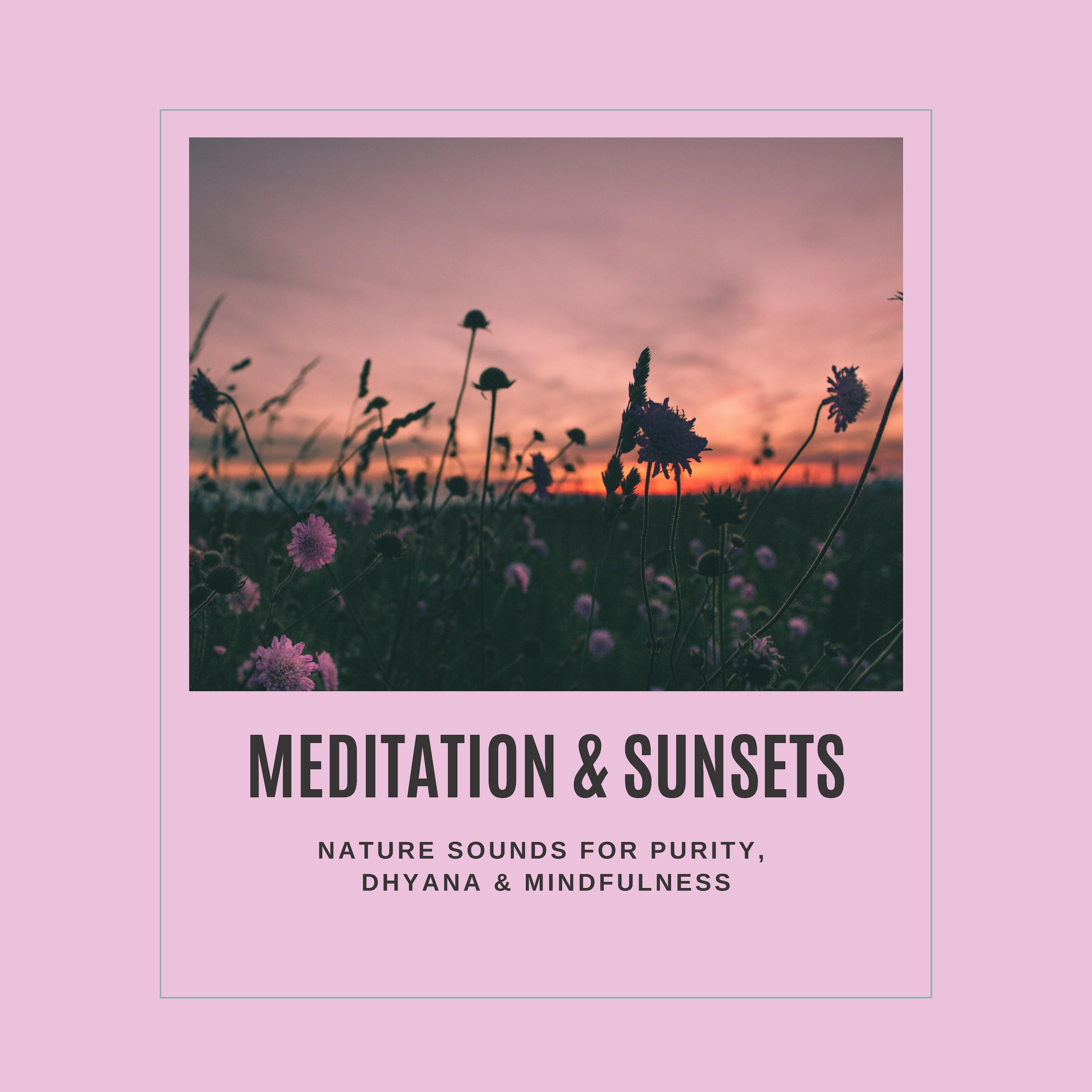 Meditation & Sunsets - Nature Sounds For Purity, Dhyana & Mindfulness