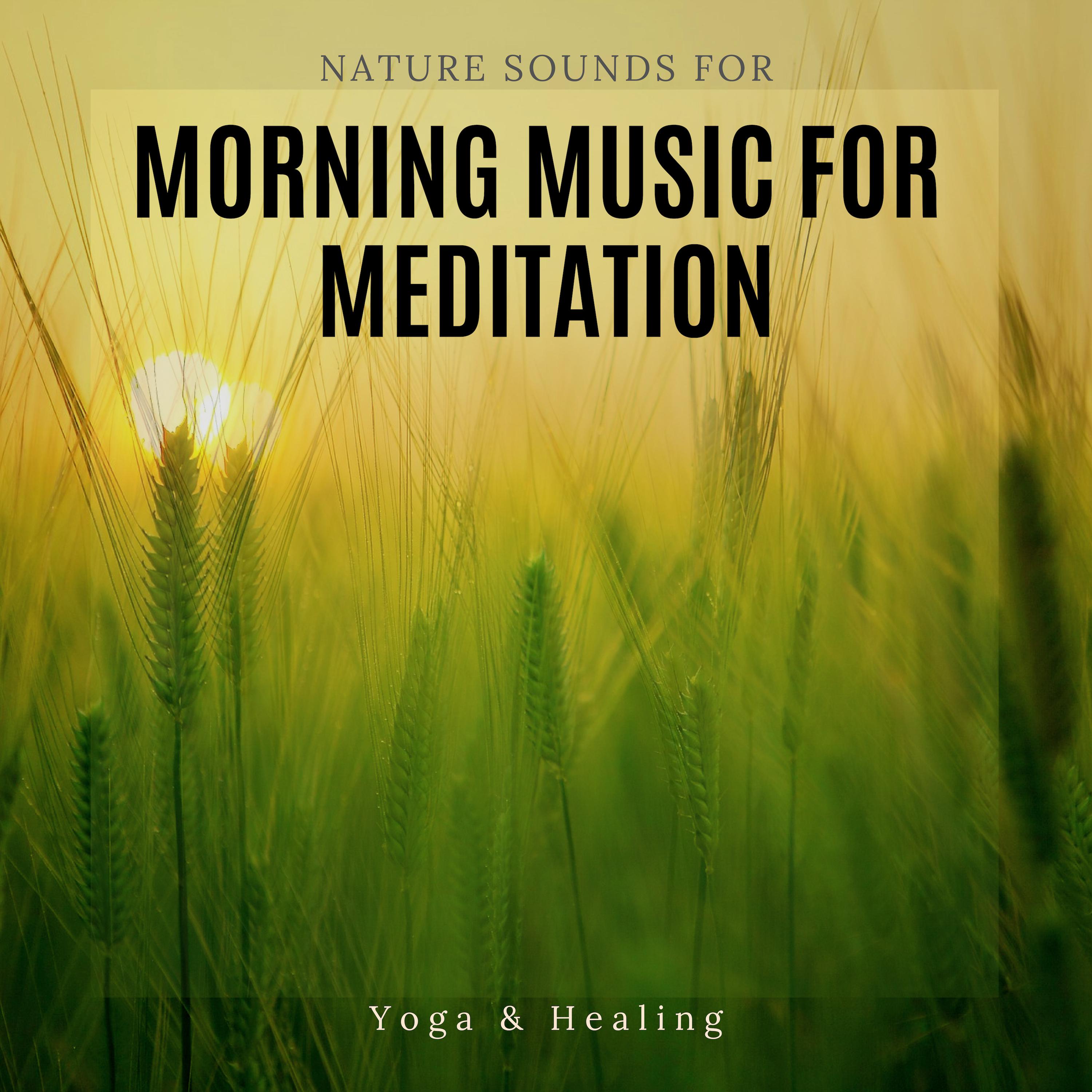 Morning Music For Meditation - Nature Sounds For Yoga & Healing