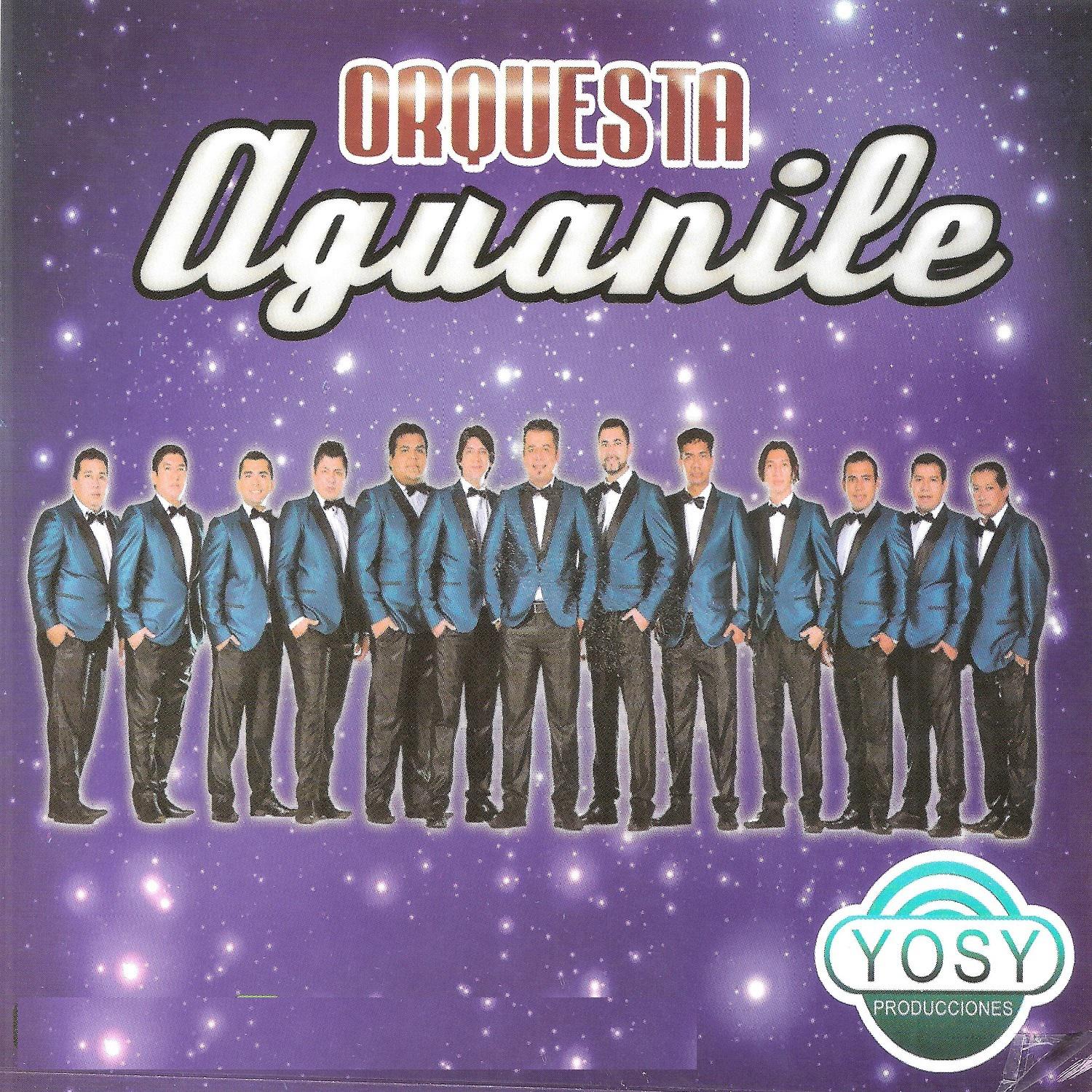 Orquesta Aguanile