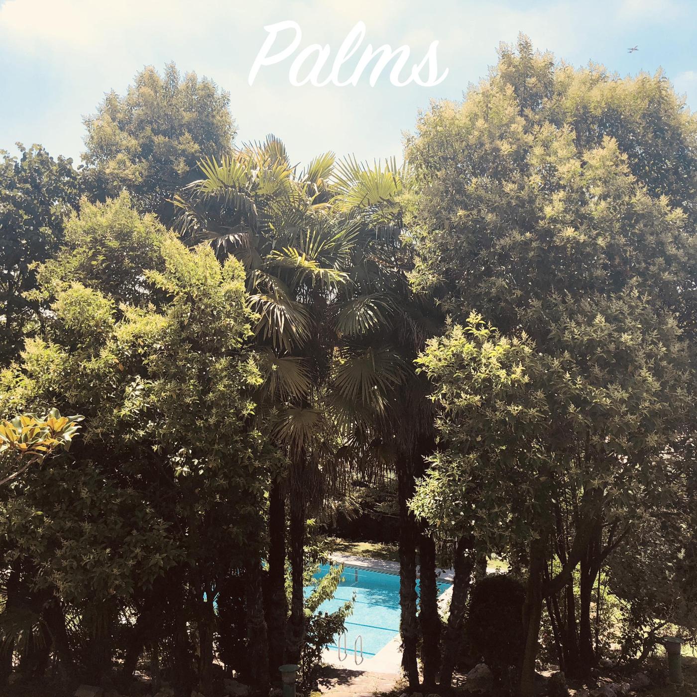 Palms