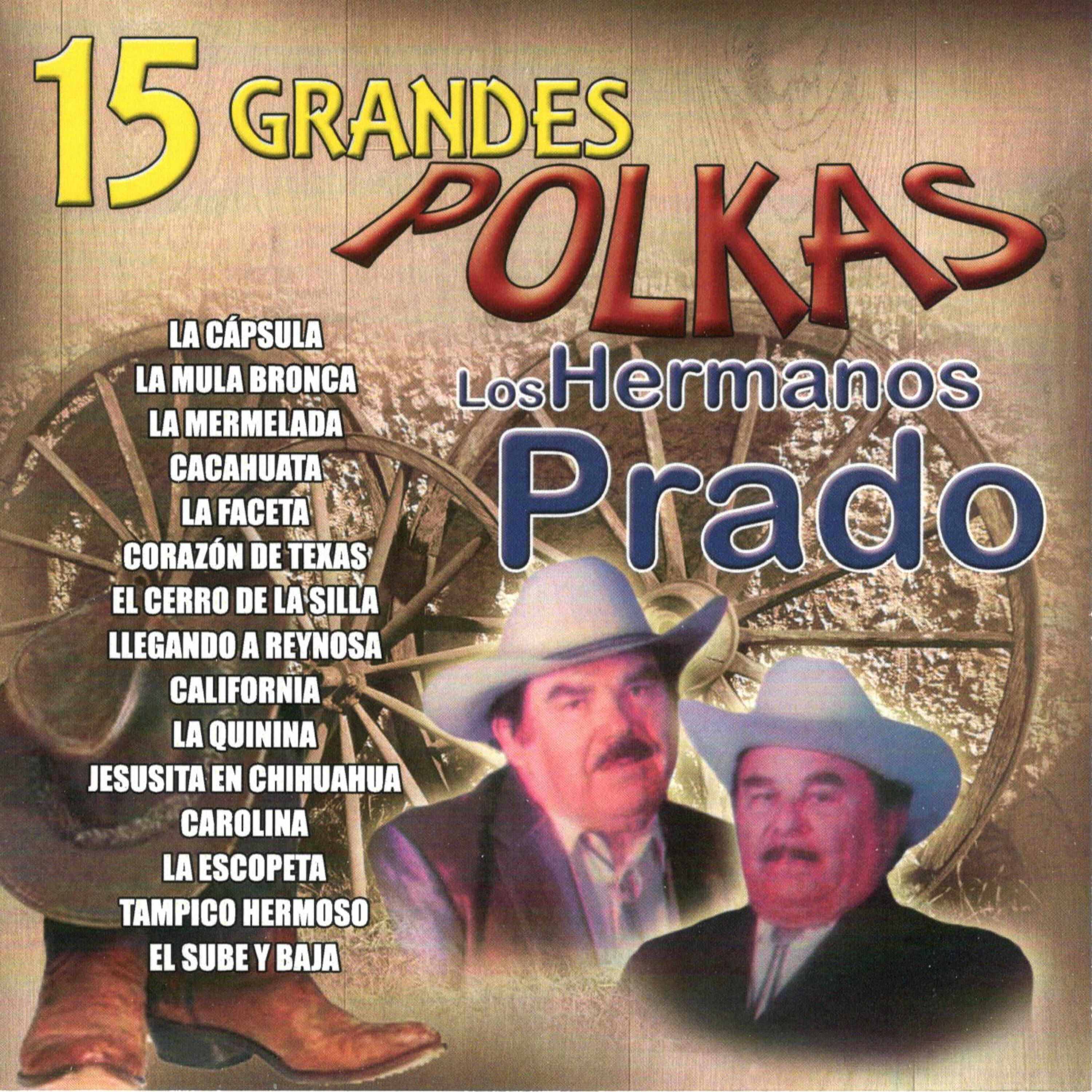 15 Grandes Polkas