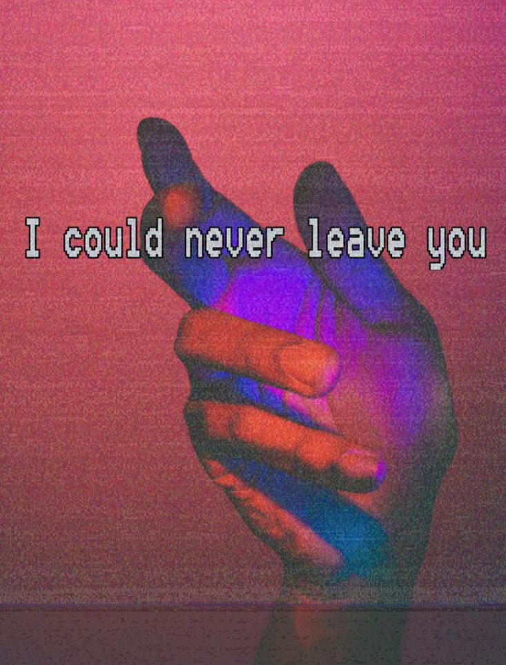 I could never leave you