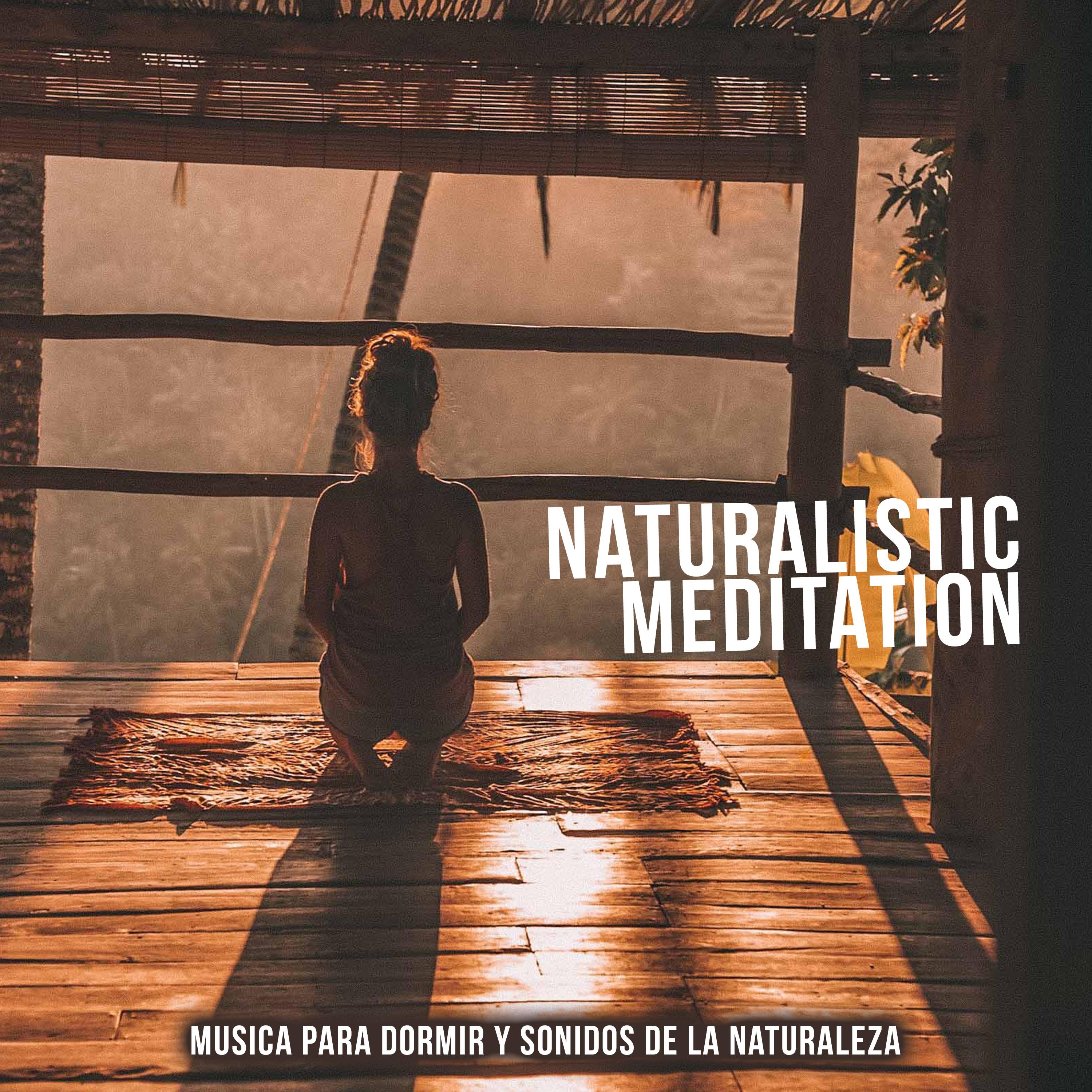 Naturalistic Meditation