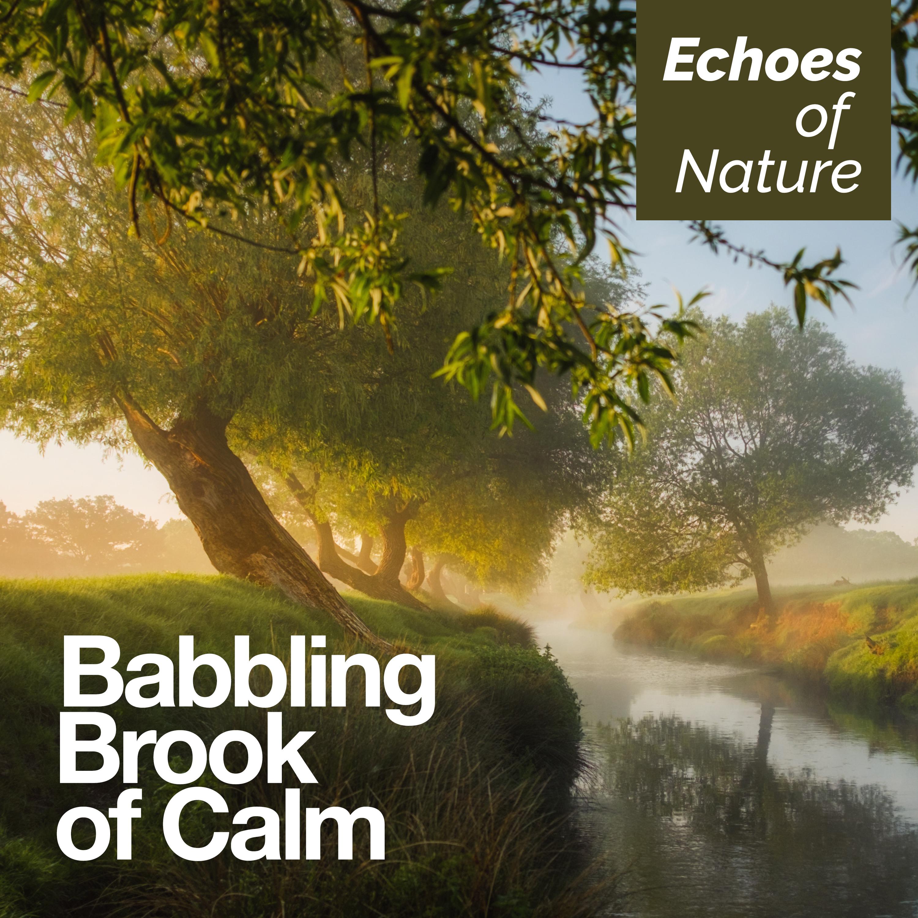 Babbling Brook of Calm