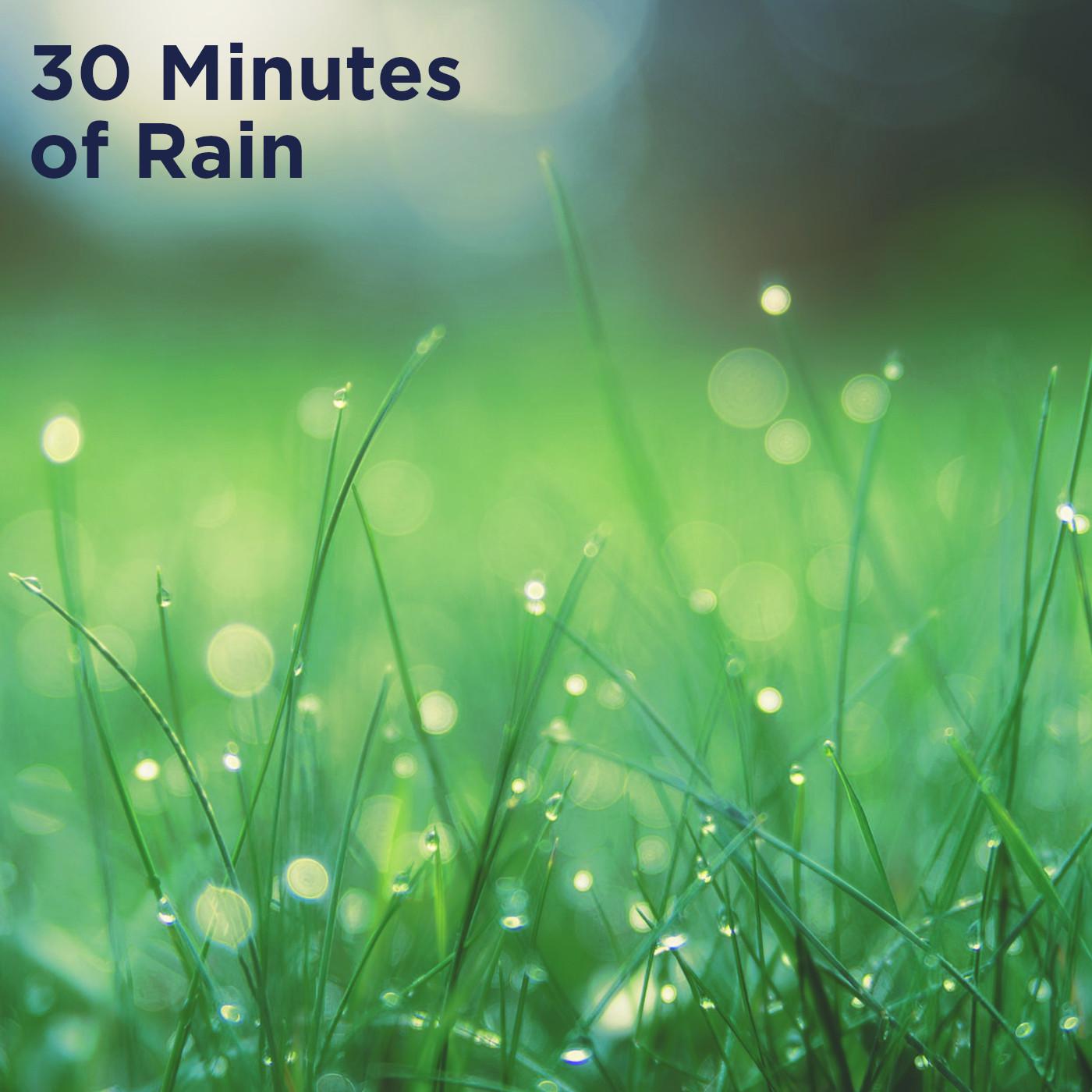 30 Minutes of Rain
