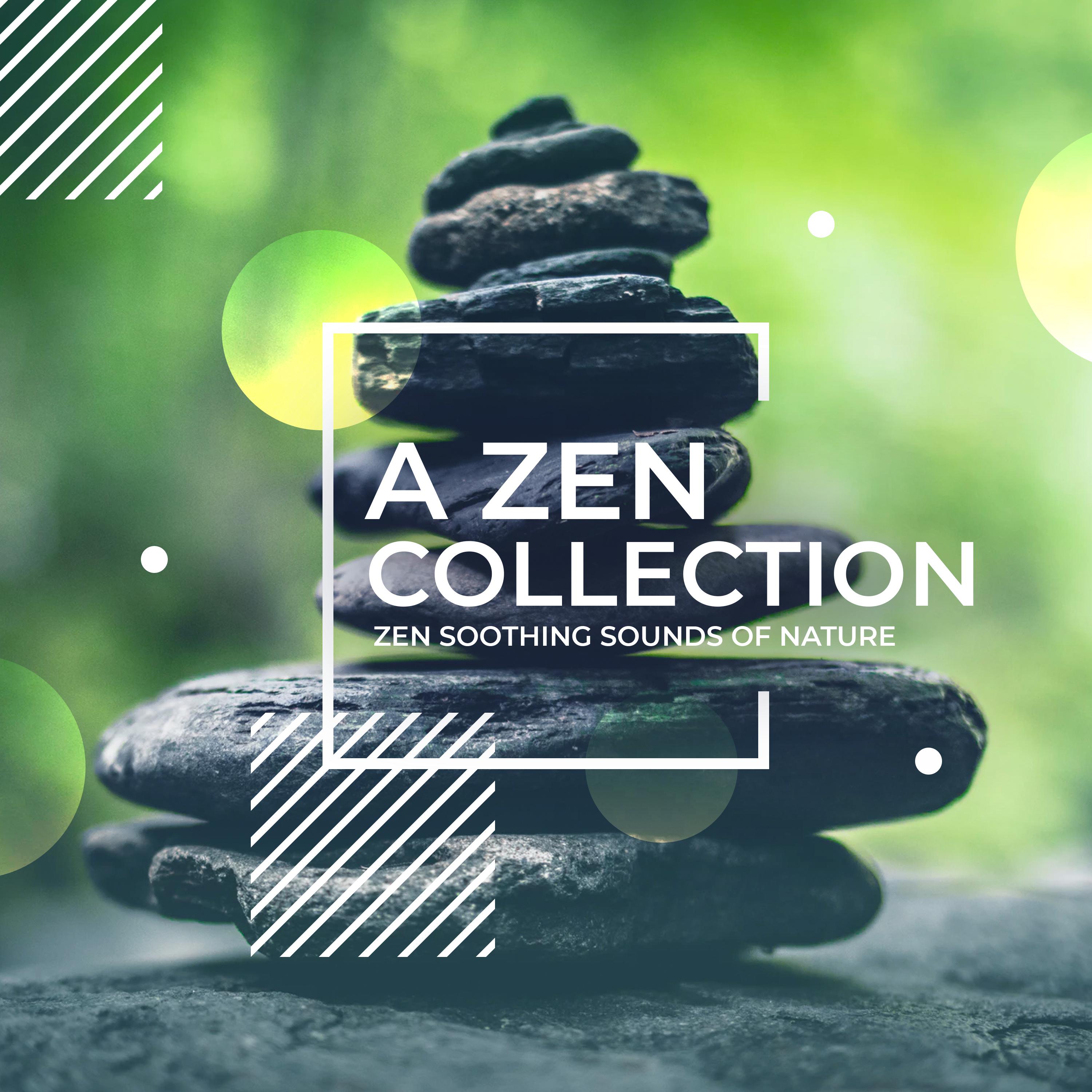 A Zen Collection