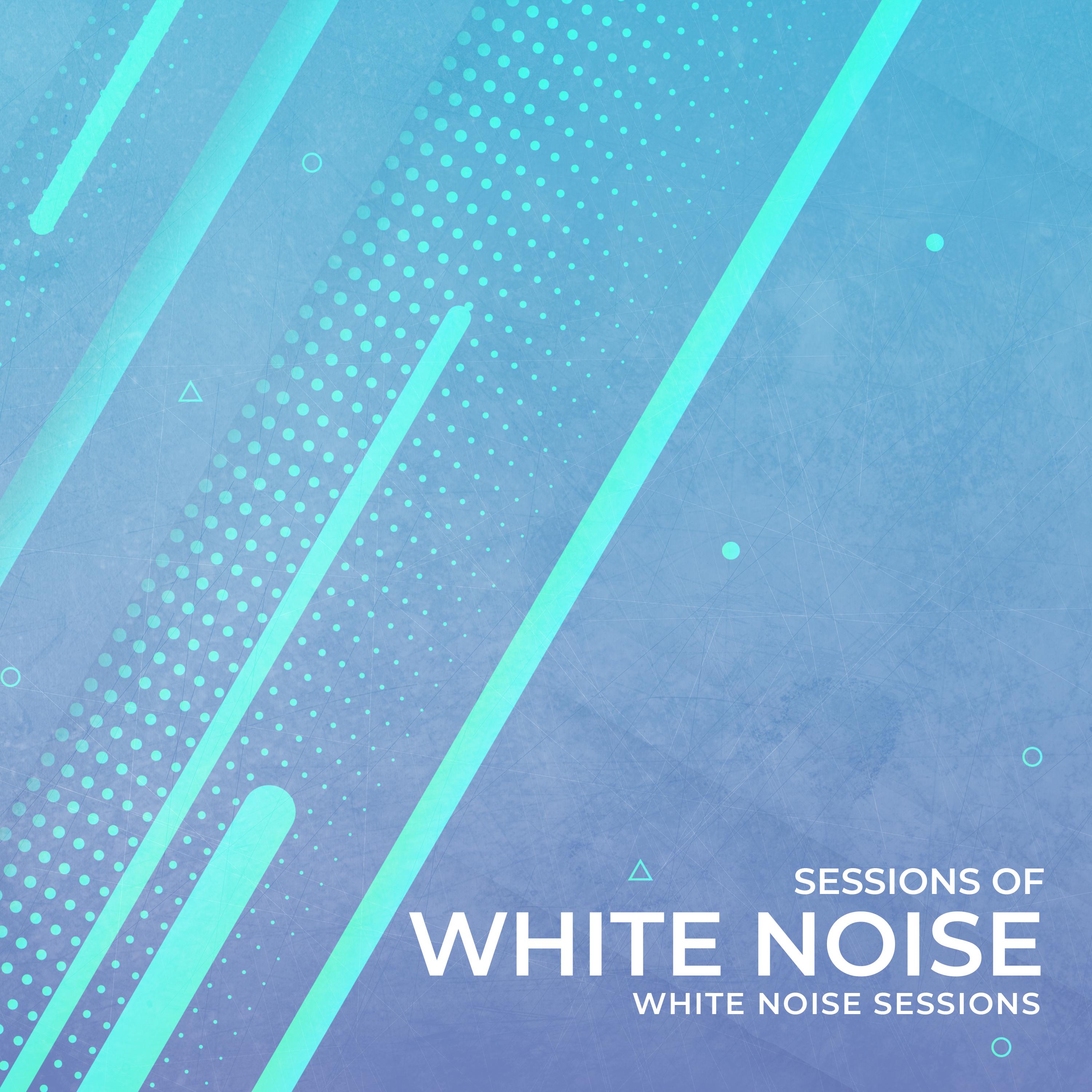 Sessions of White Noise