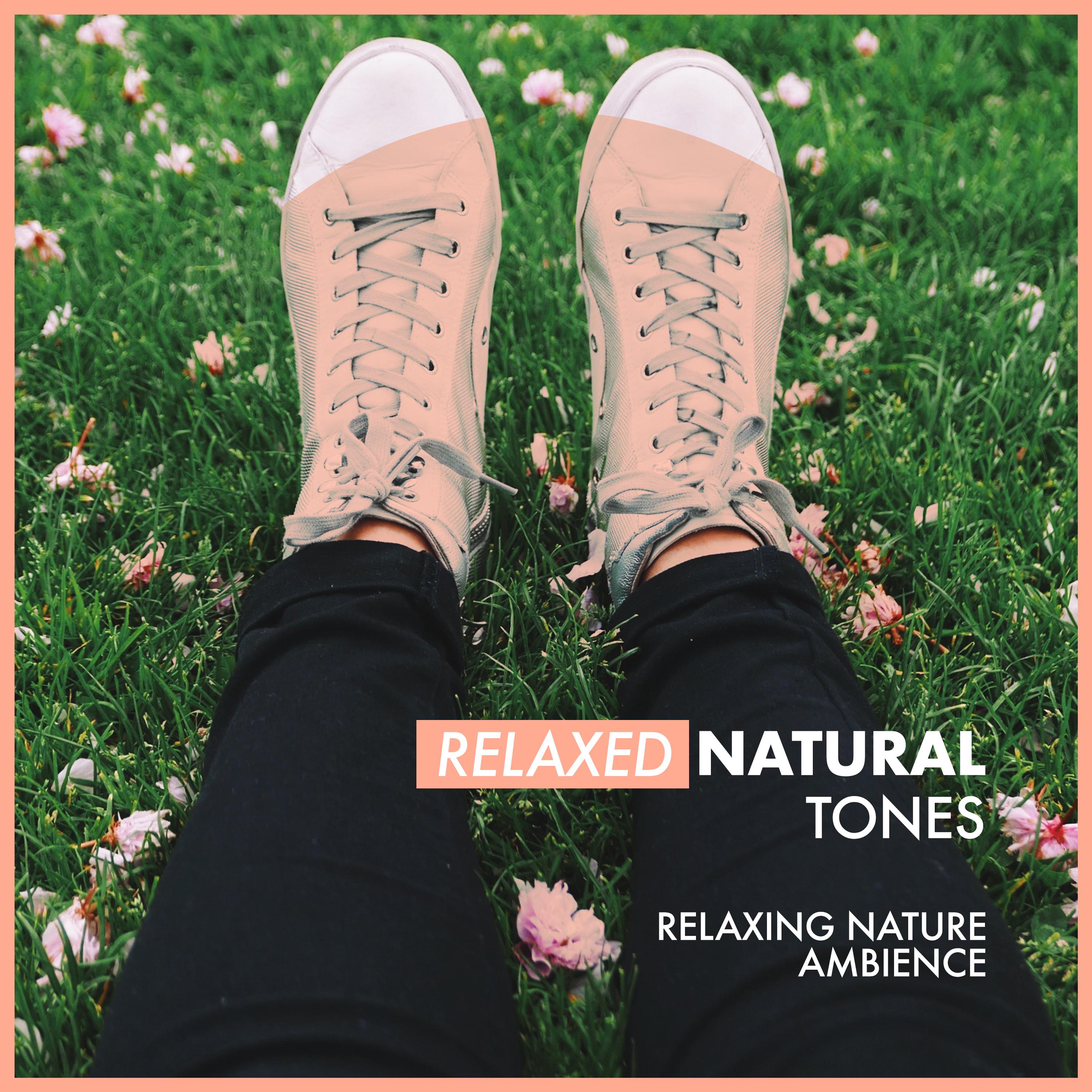 Relaxed Natural Tones