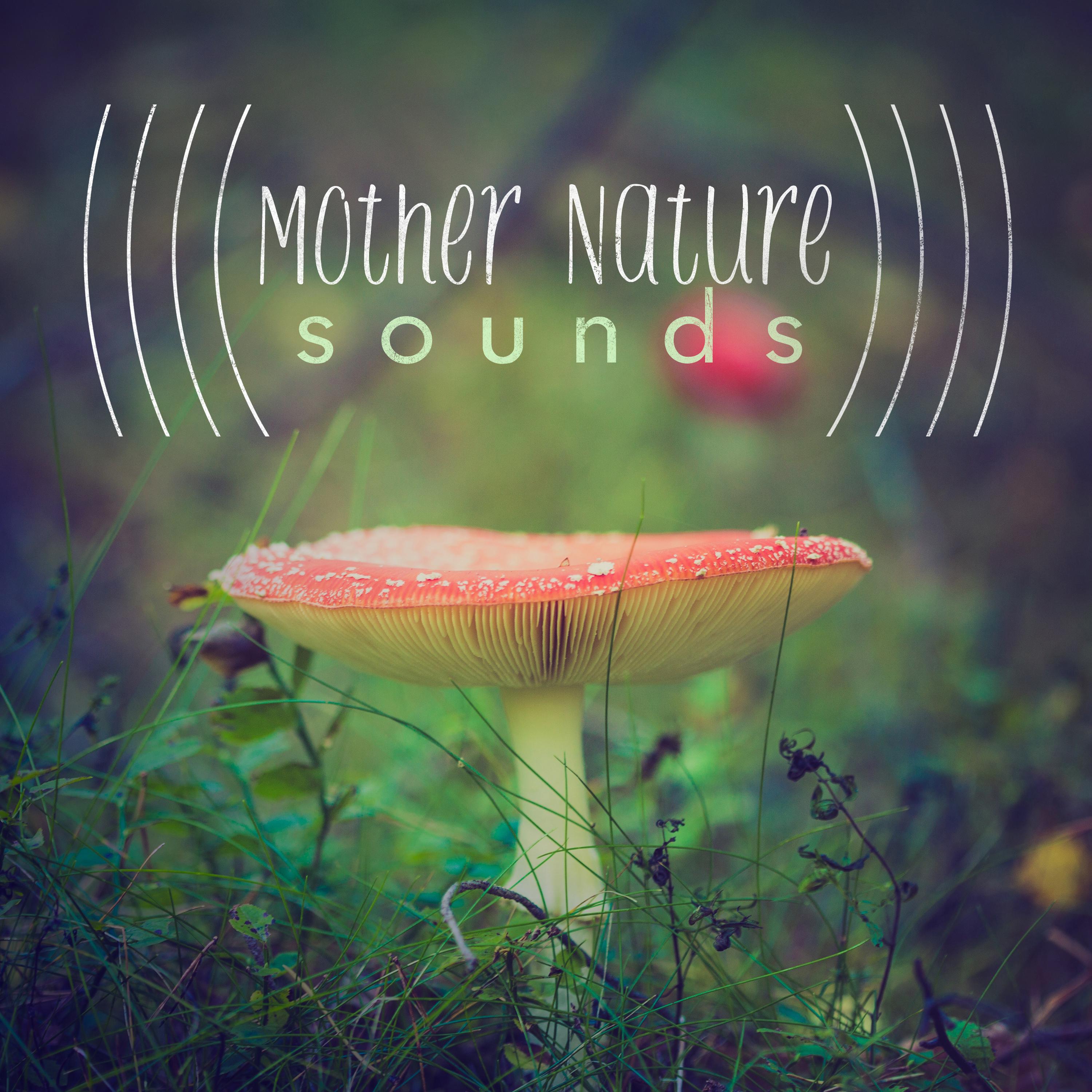 Mother Nature Sounds