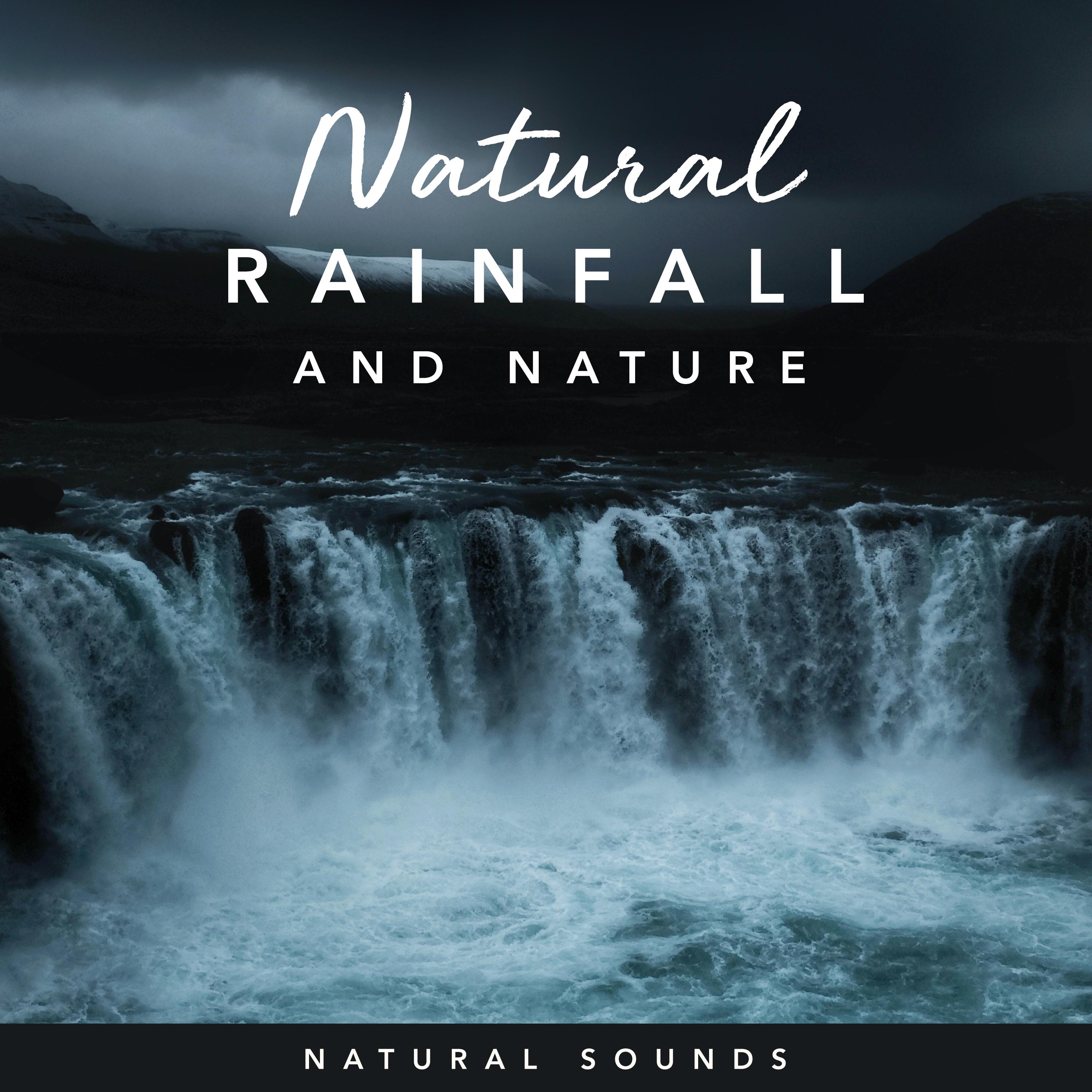 Natural Rainfall and Nature