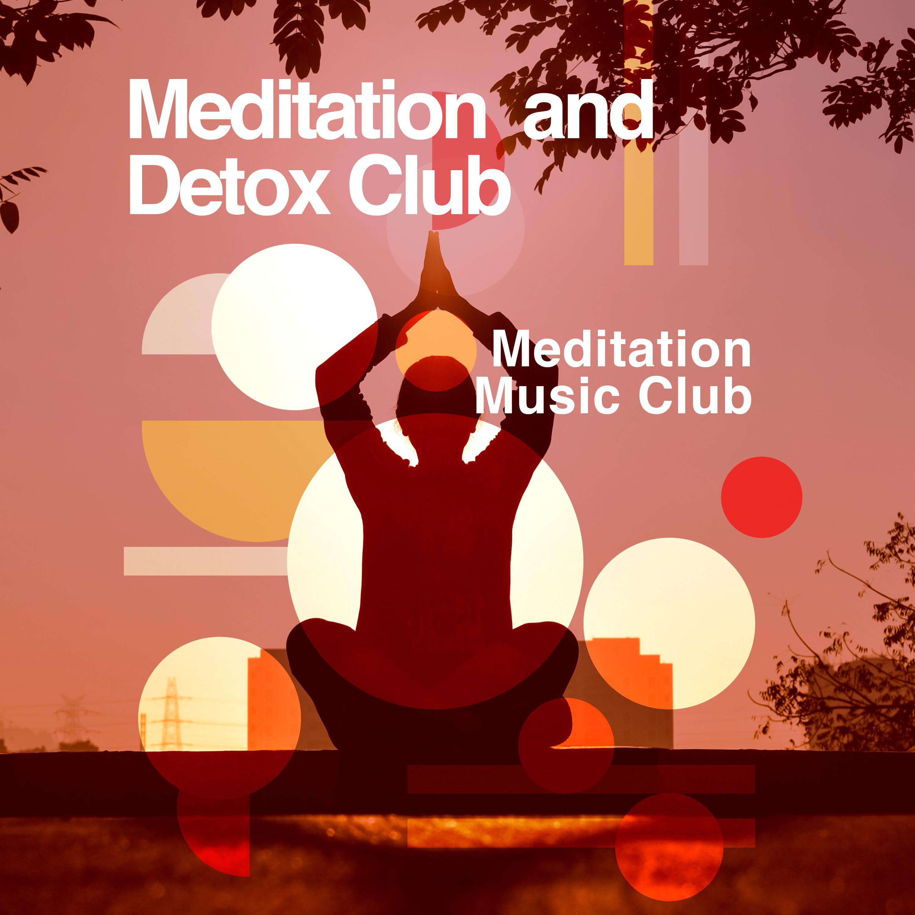 Meditation and Detox Club