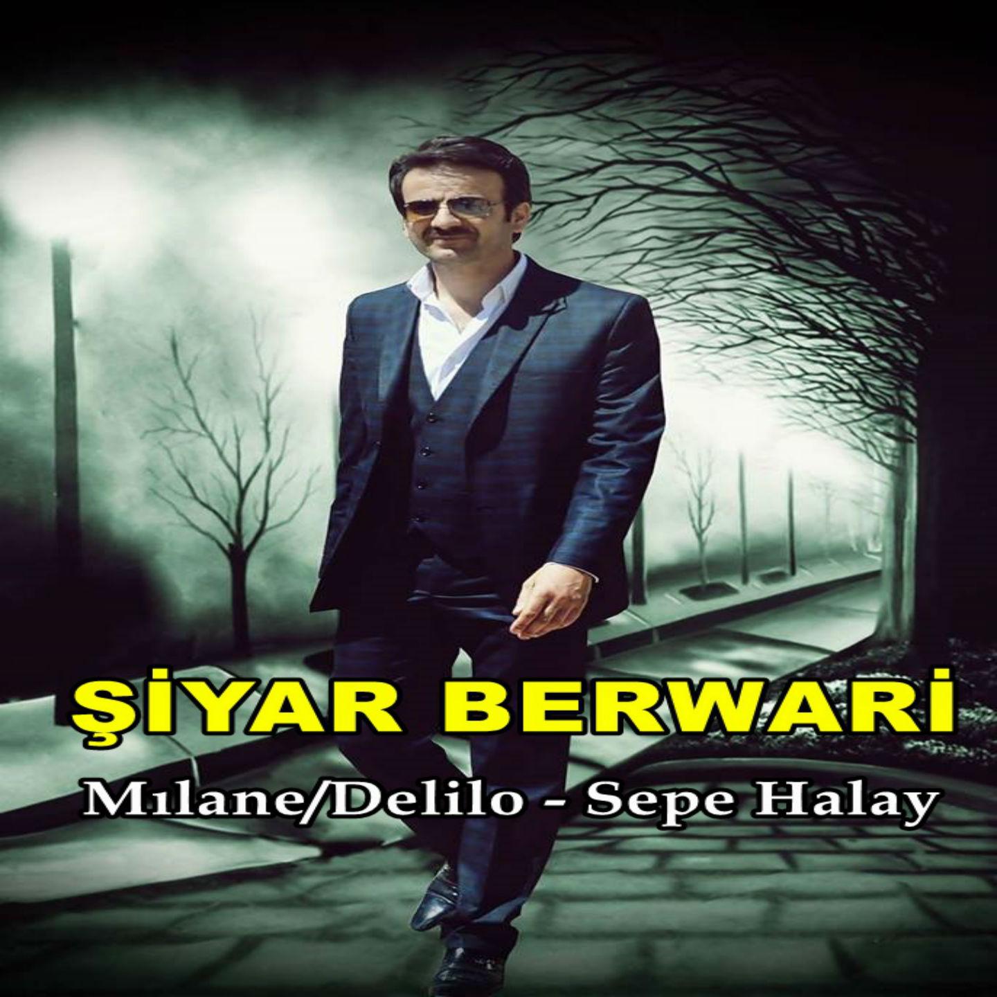 Segavi Halay