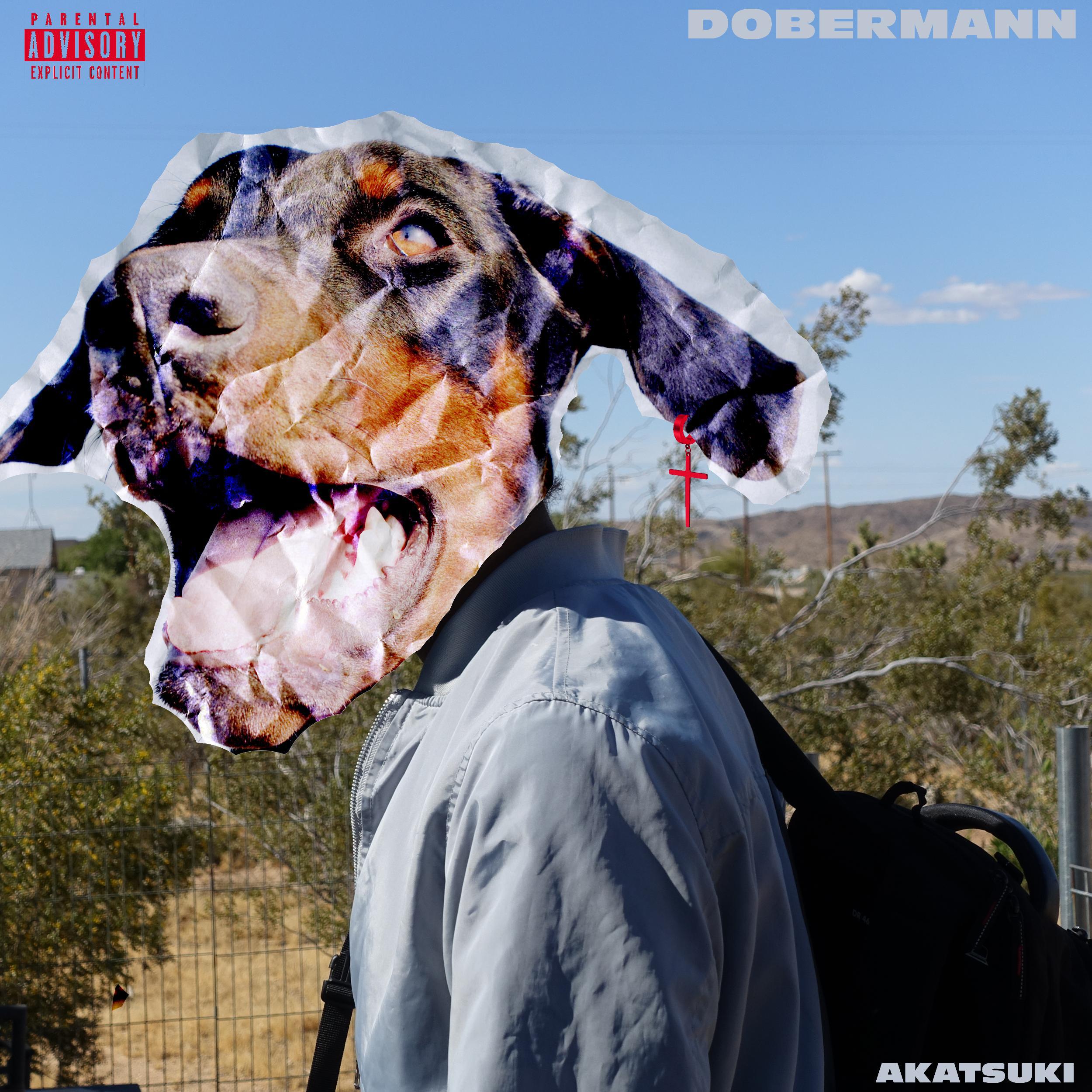 Dobermann