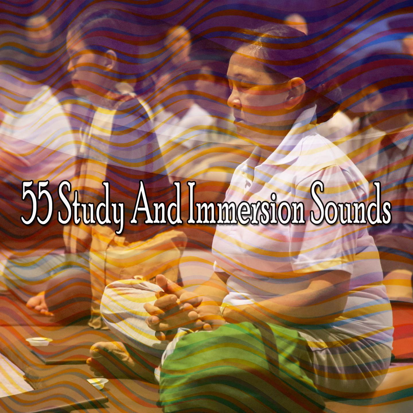 55 Study and Immersion Sounds