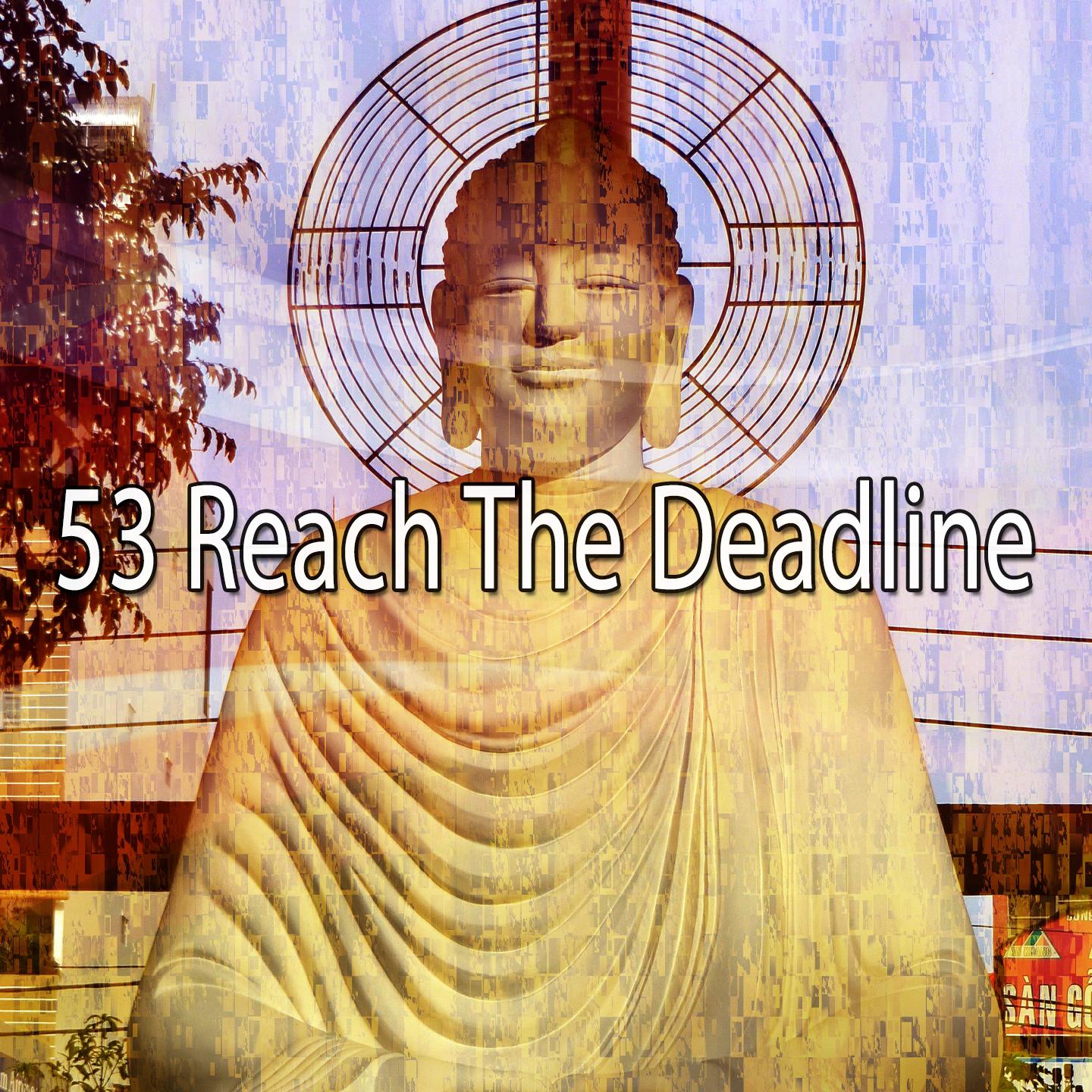 53 Reach the Deadline
