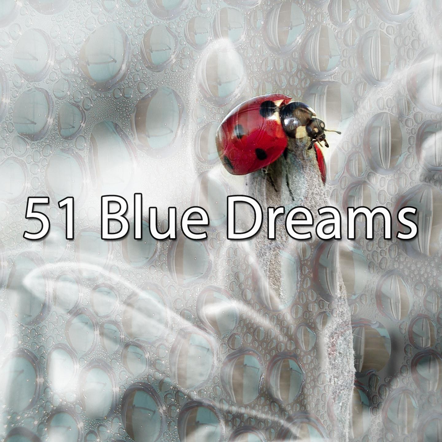51 Blue Dreams