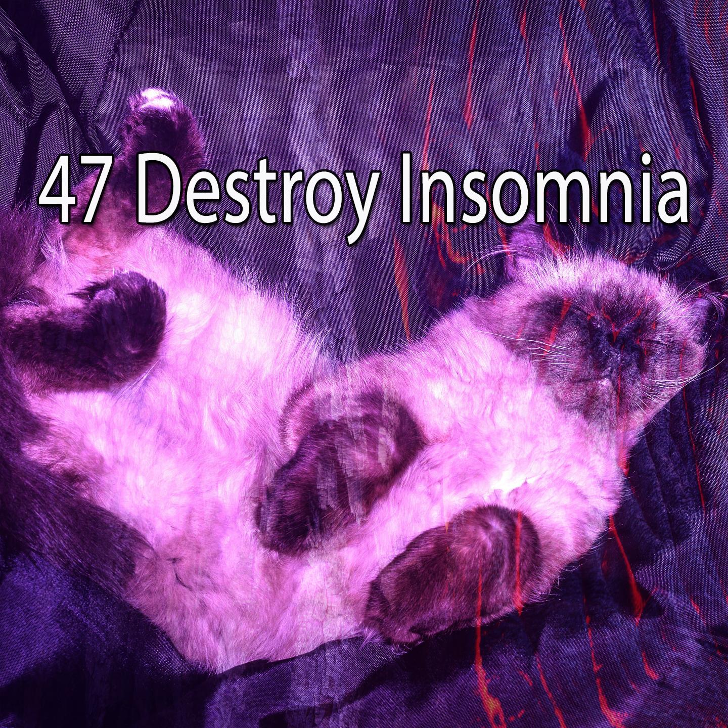 47 Destroy Insomnia