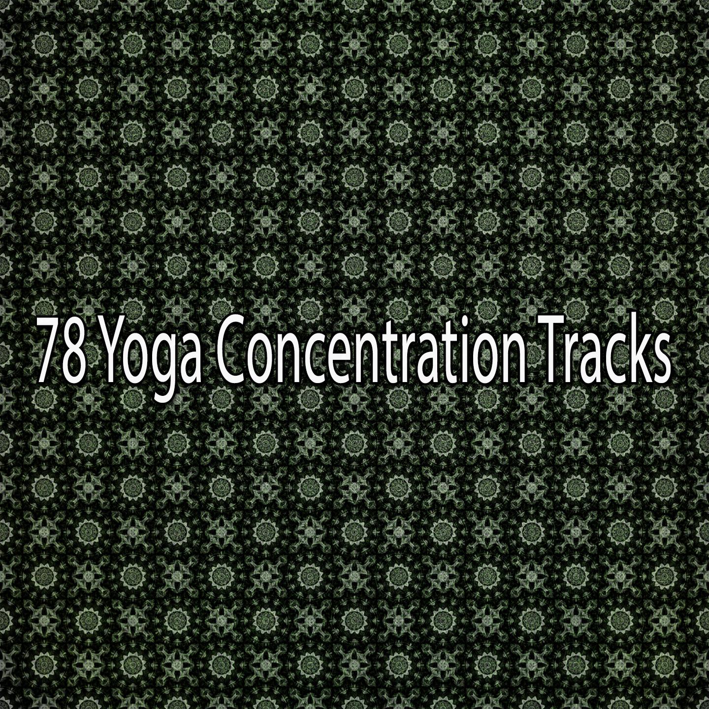 78 Yoga Concentration Tracks