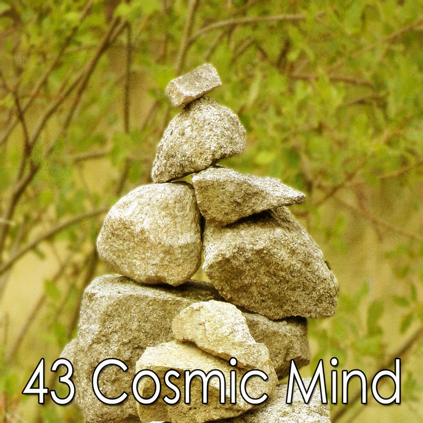 43 Cosmic Mind