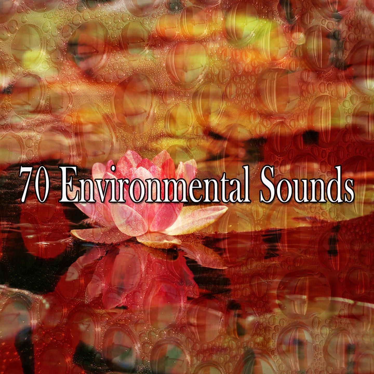 70 Environmental Sounds