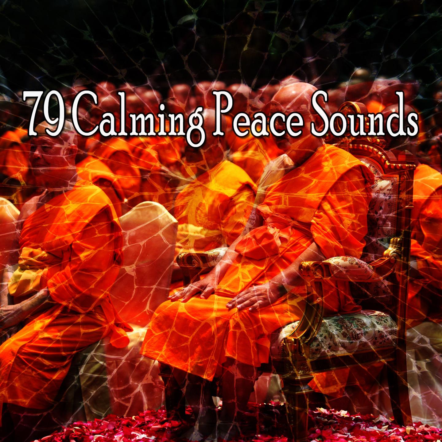 79 Calming Peace Sounds
