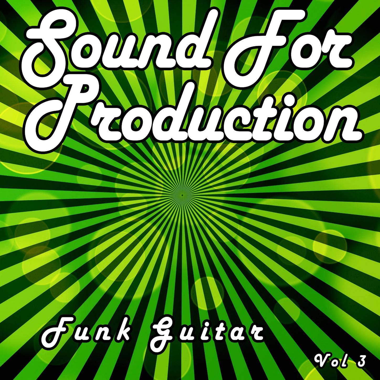 Sound For Production Funk Guitar, Vol. 3