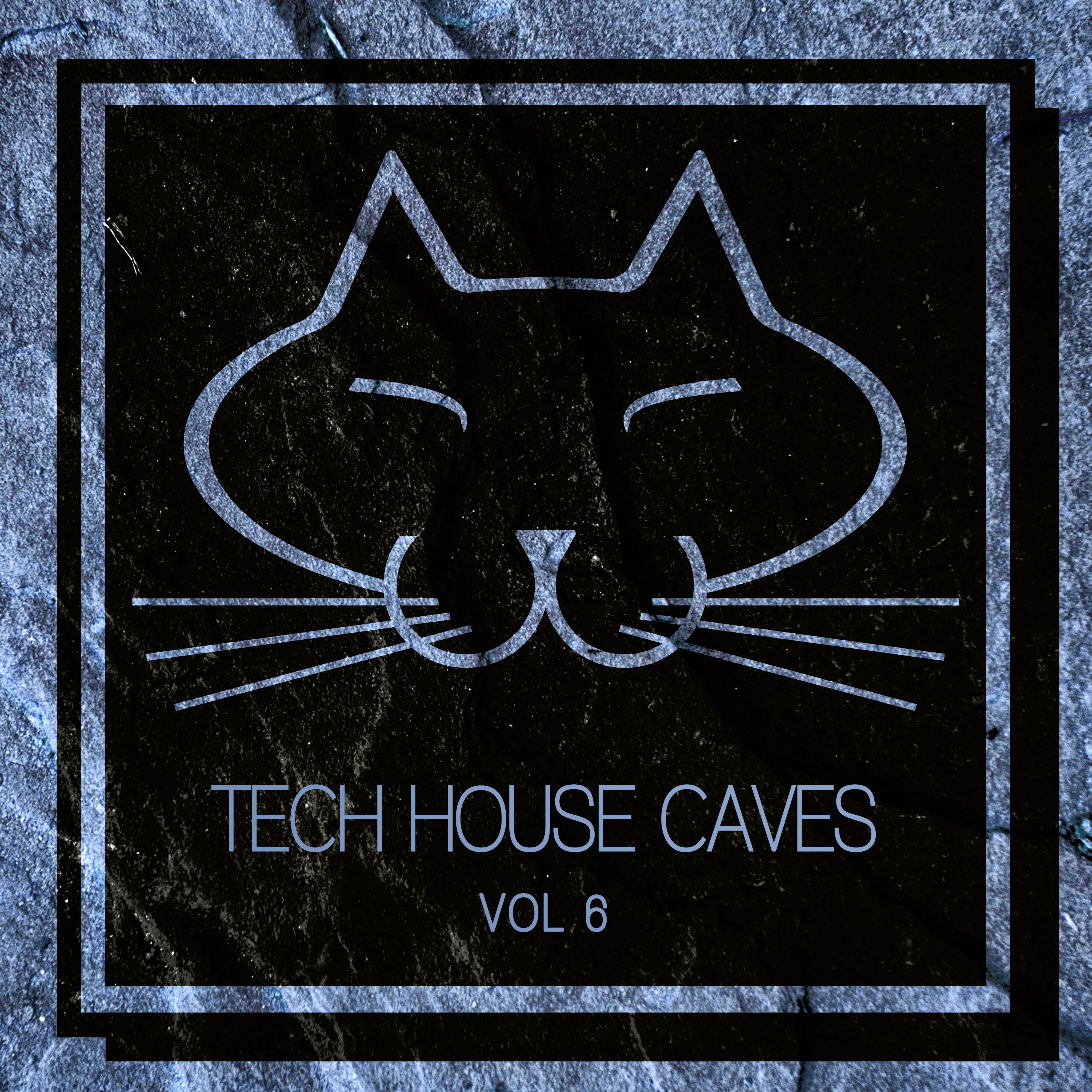 Tech House Caves, Vol. 6