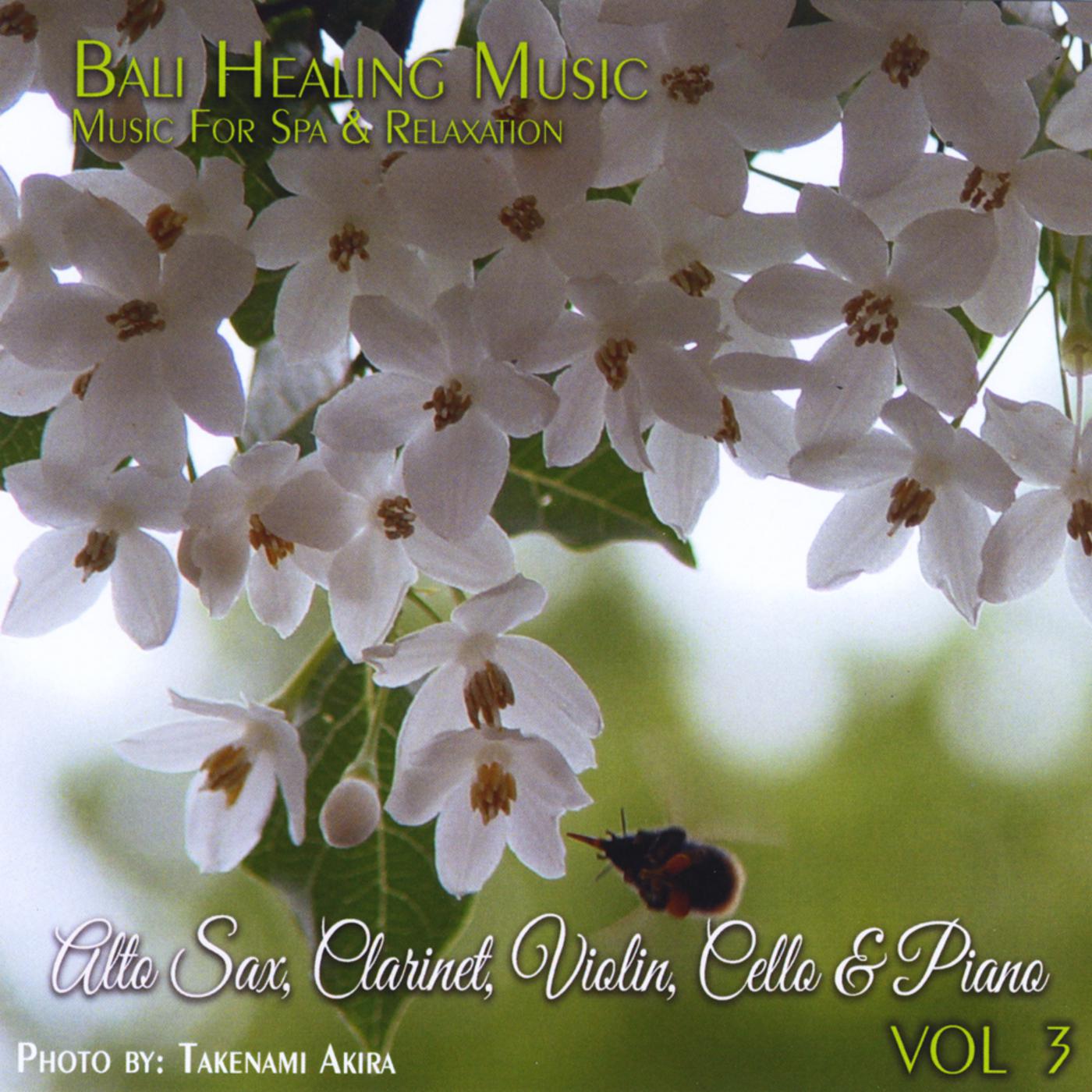 Bali Healing Music, Vol. 3