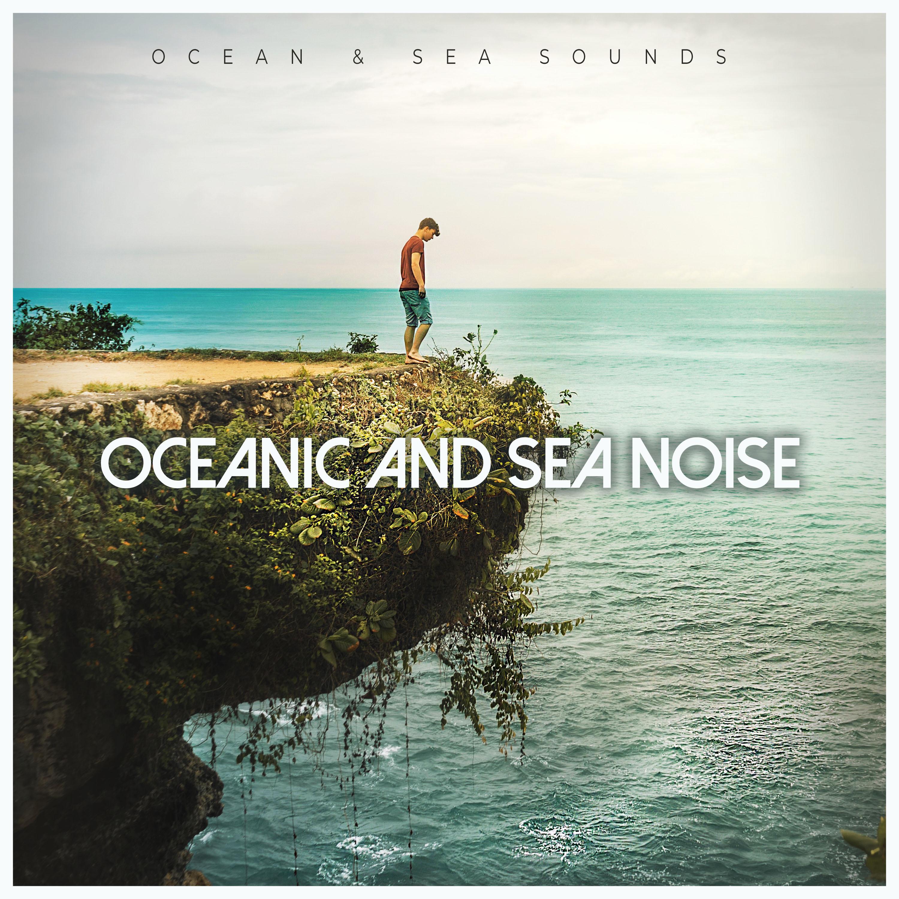 Oceanic and Sea Noise