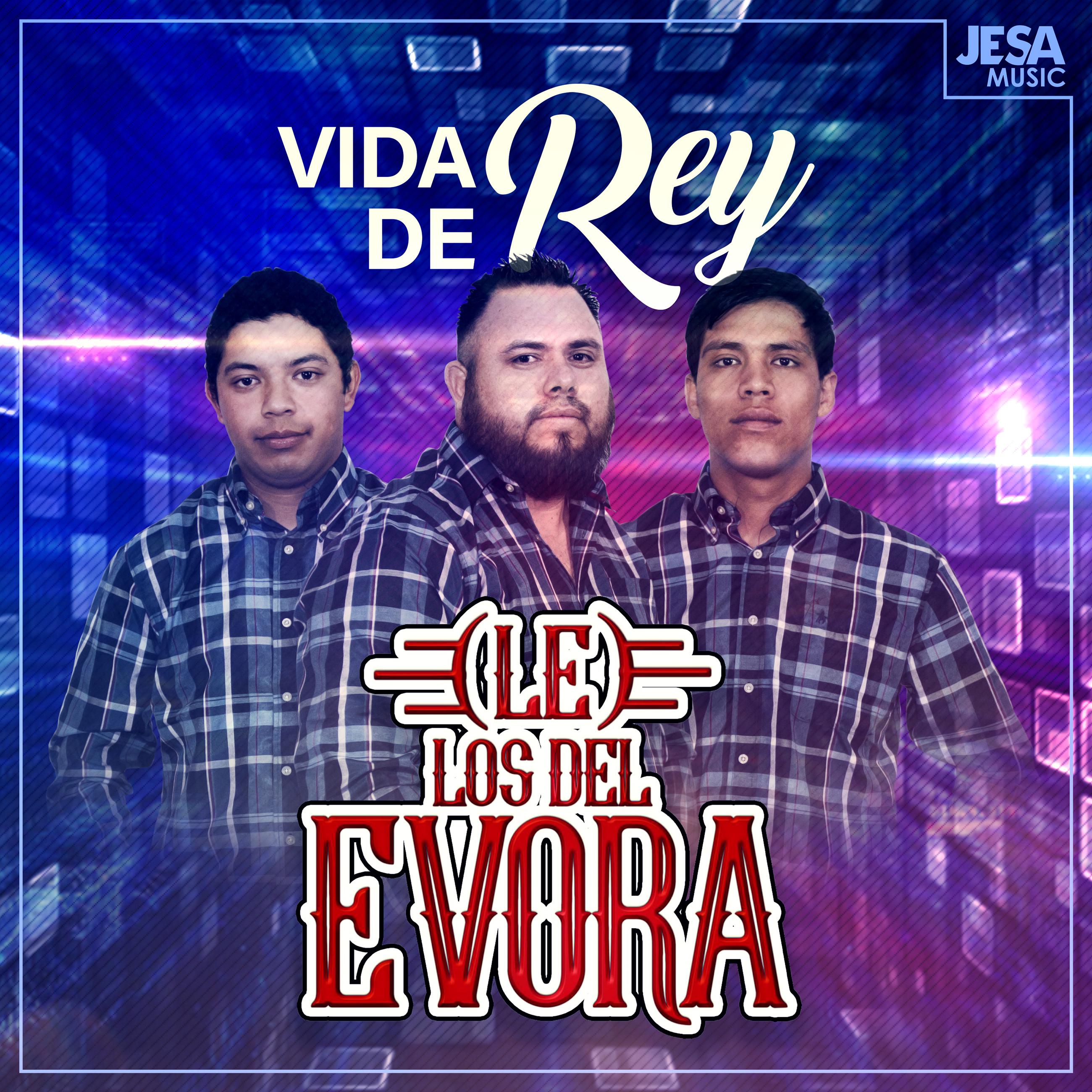 Vida de Rey