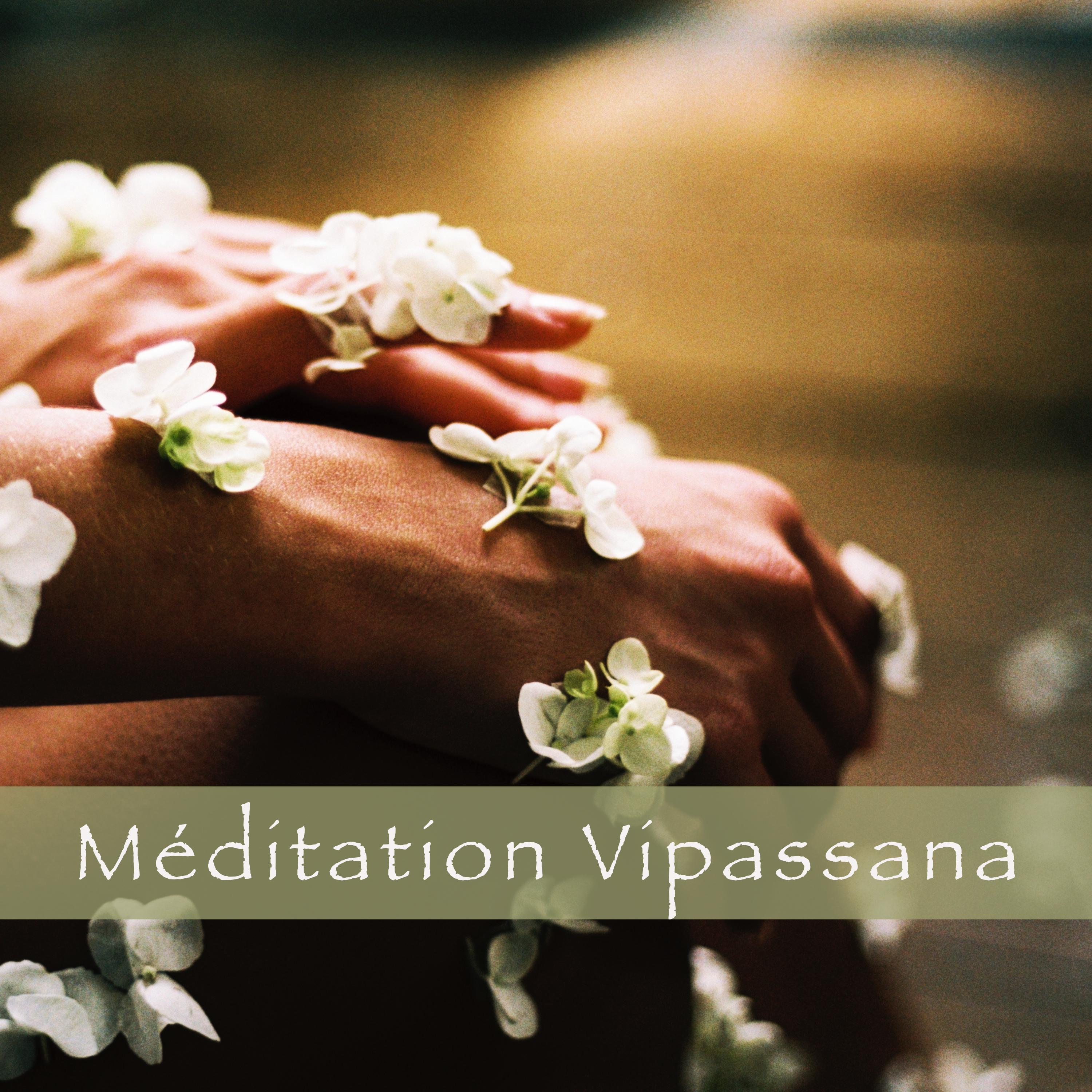 Méditation vipassana
