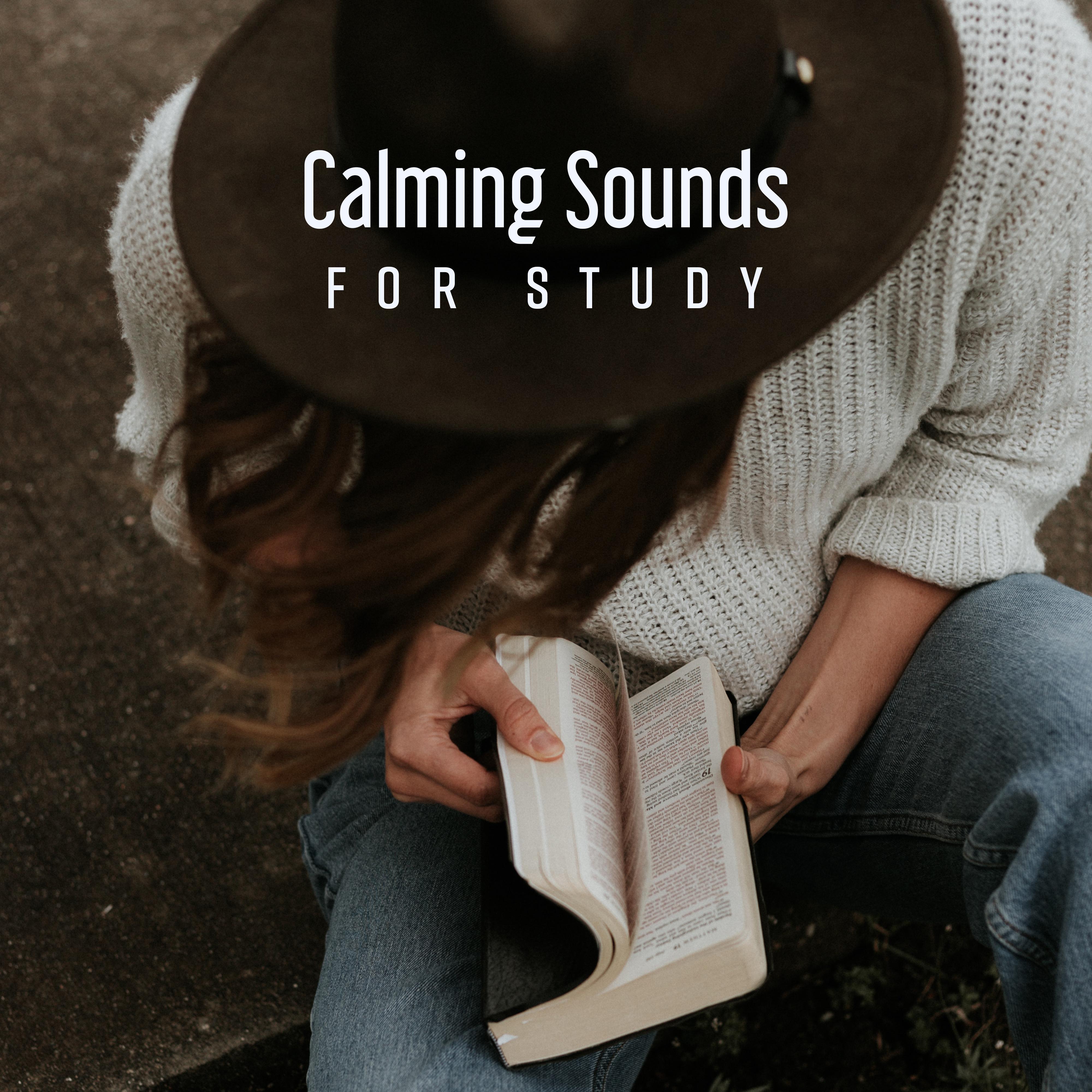 Calming Sounds for Study – New Age Music for Deep Concentration, Reading Music, Reduce Stress, Inner Focus, Zen, Lounge