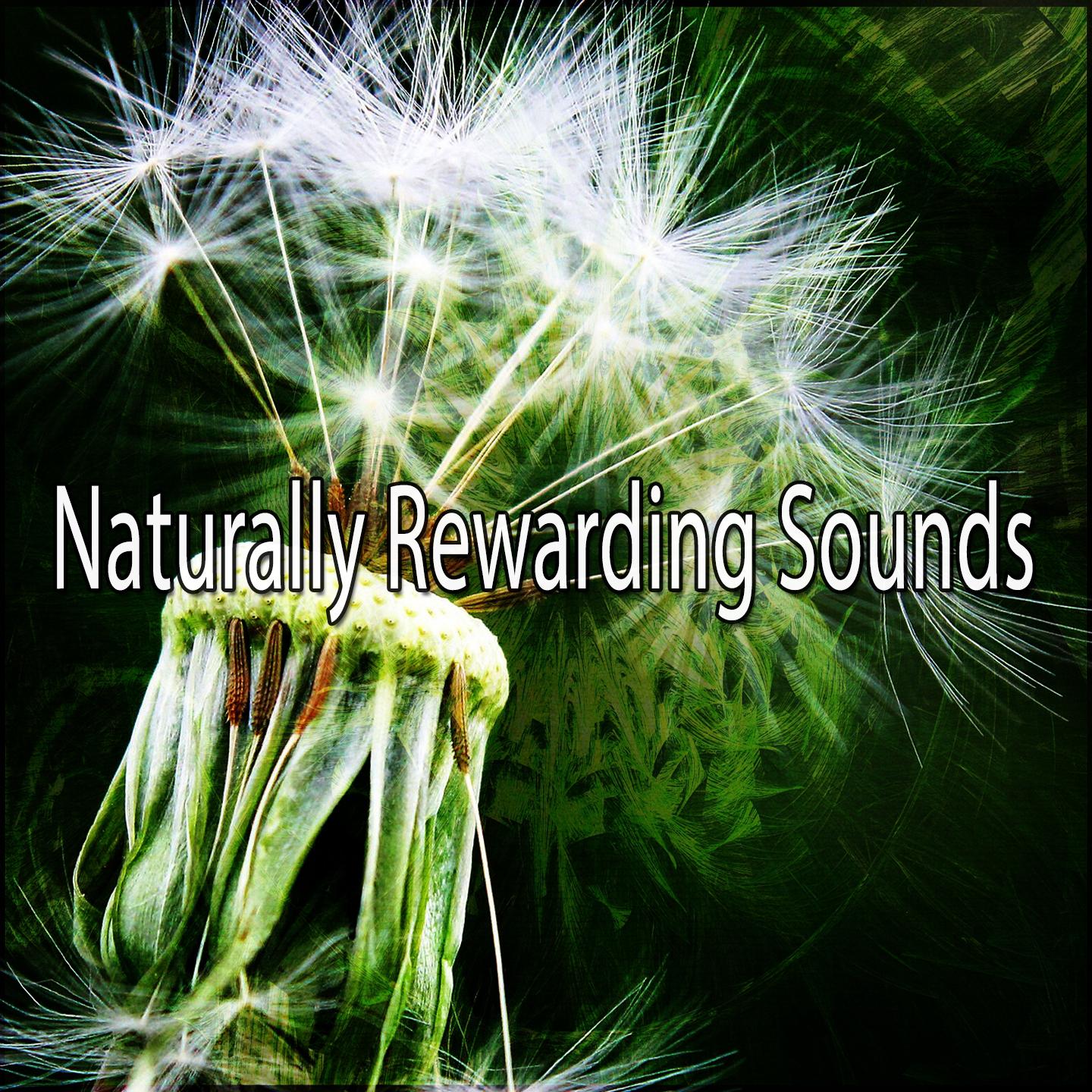 Naturally Rewarding Sounds