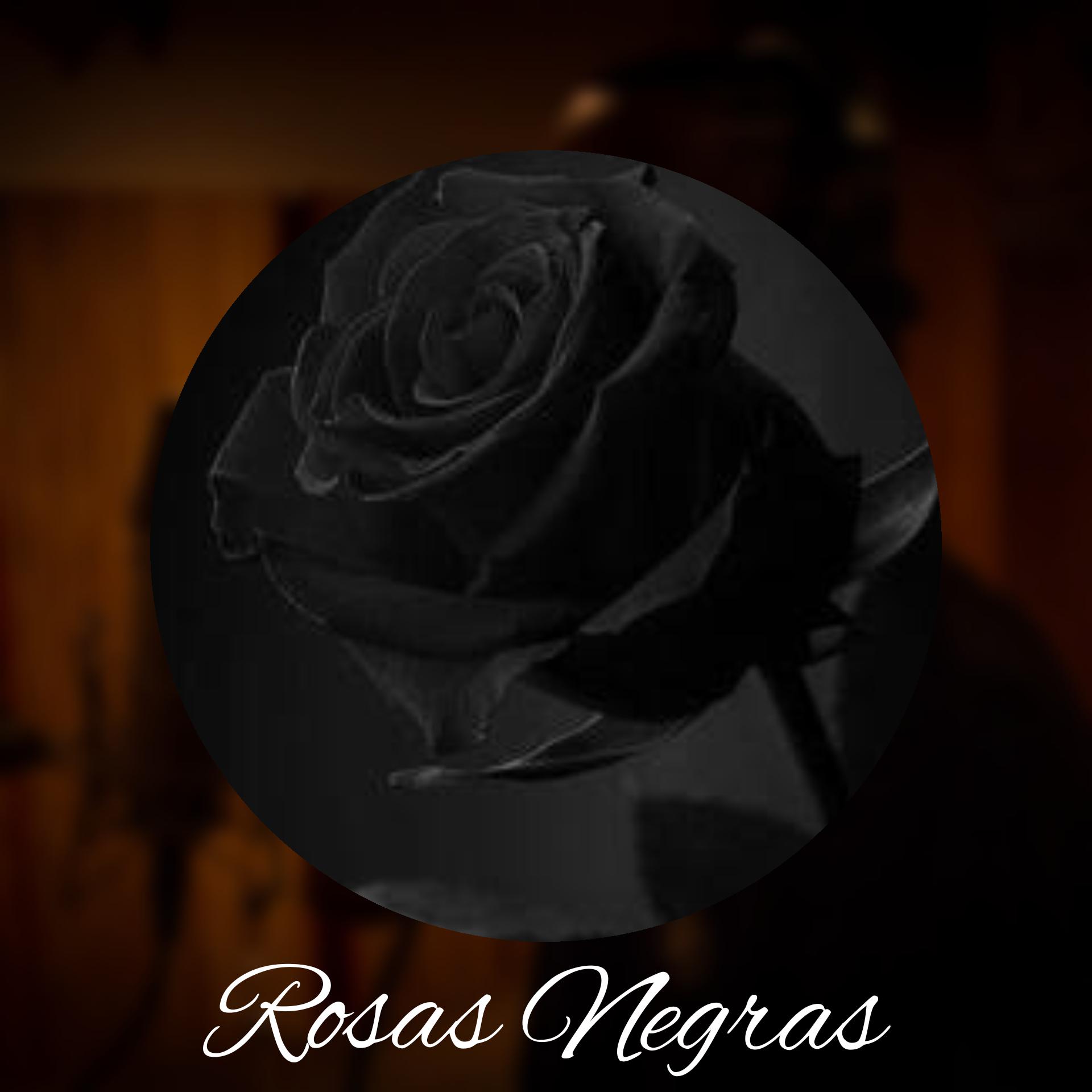 Rosas Negras