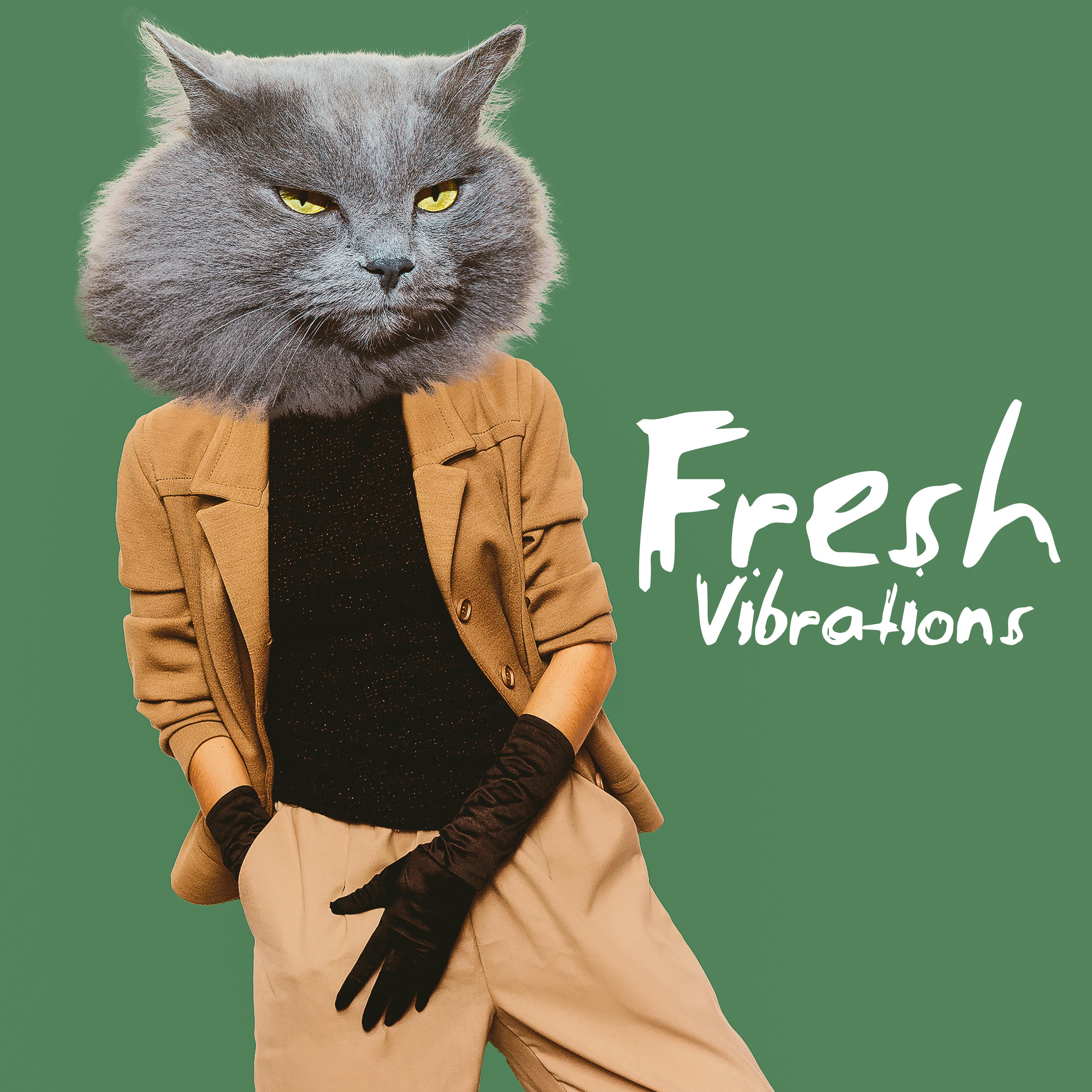 Fresh Vibrations – Summertime 2019, Relaxing Melodies to Rest, Sunny Break, Sunshine Lounge, Chillout Bar, Ibiza Relaxation
