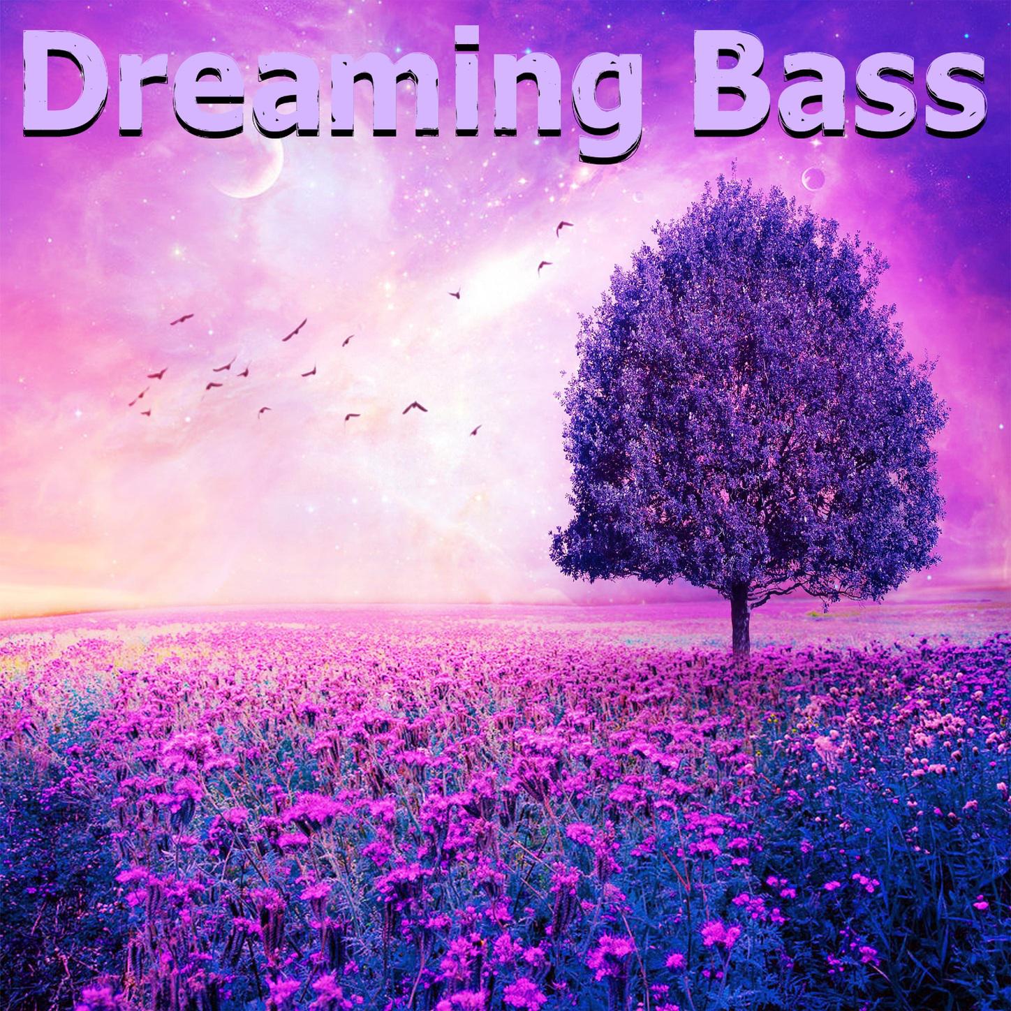 Dreaming Bass