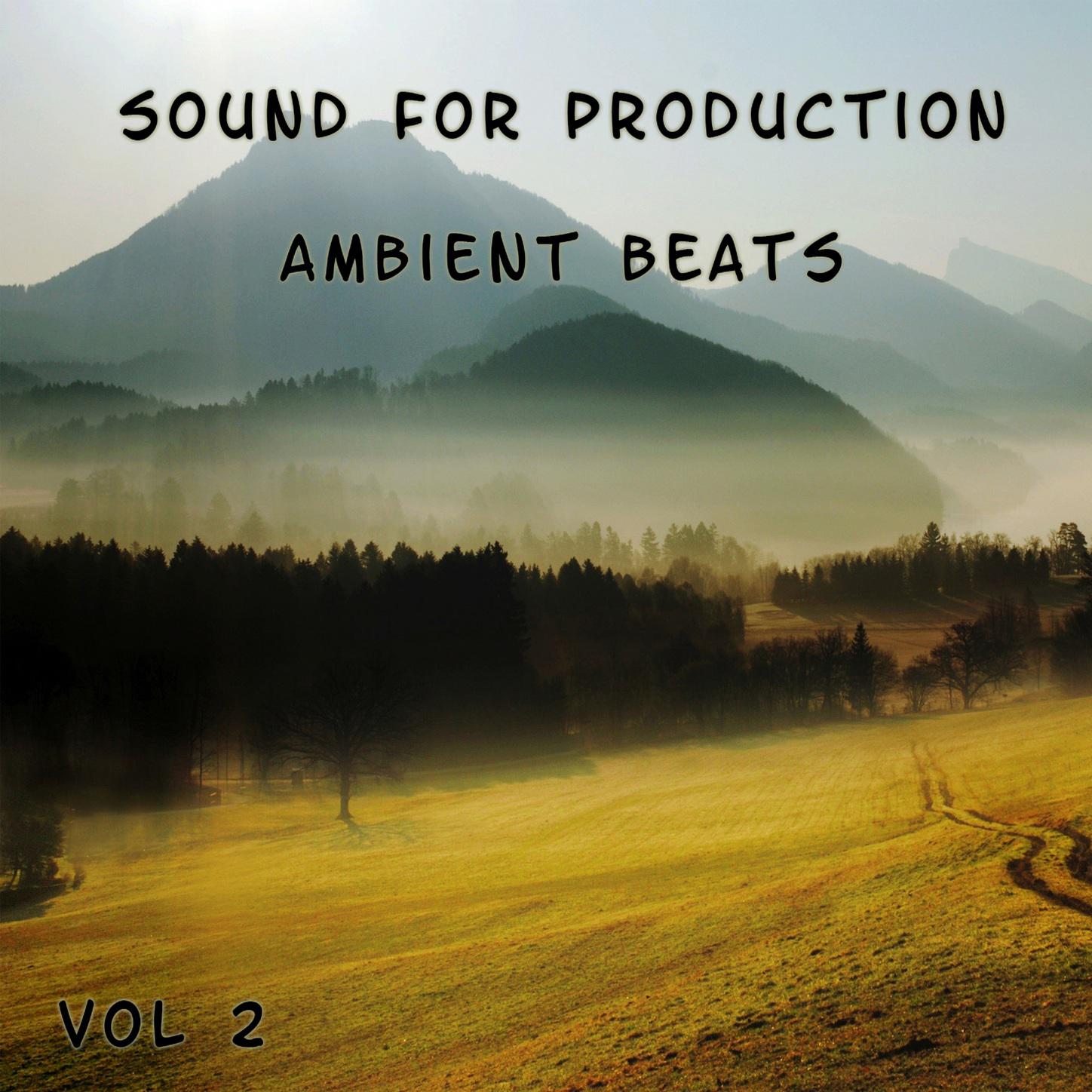 Sound For Production Ambient Beats, Vol. 2