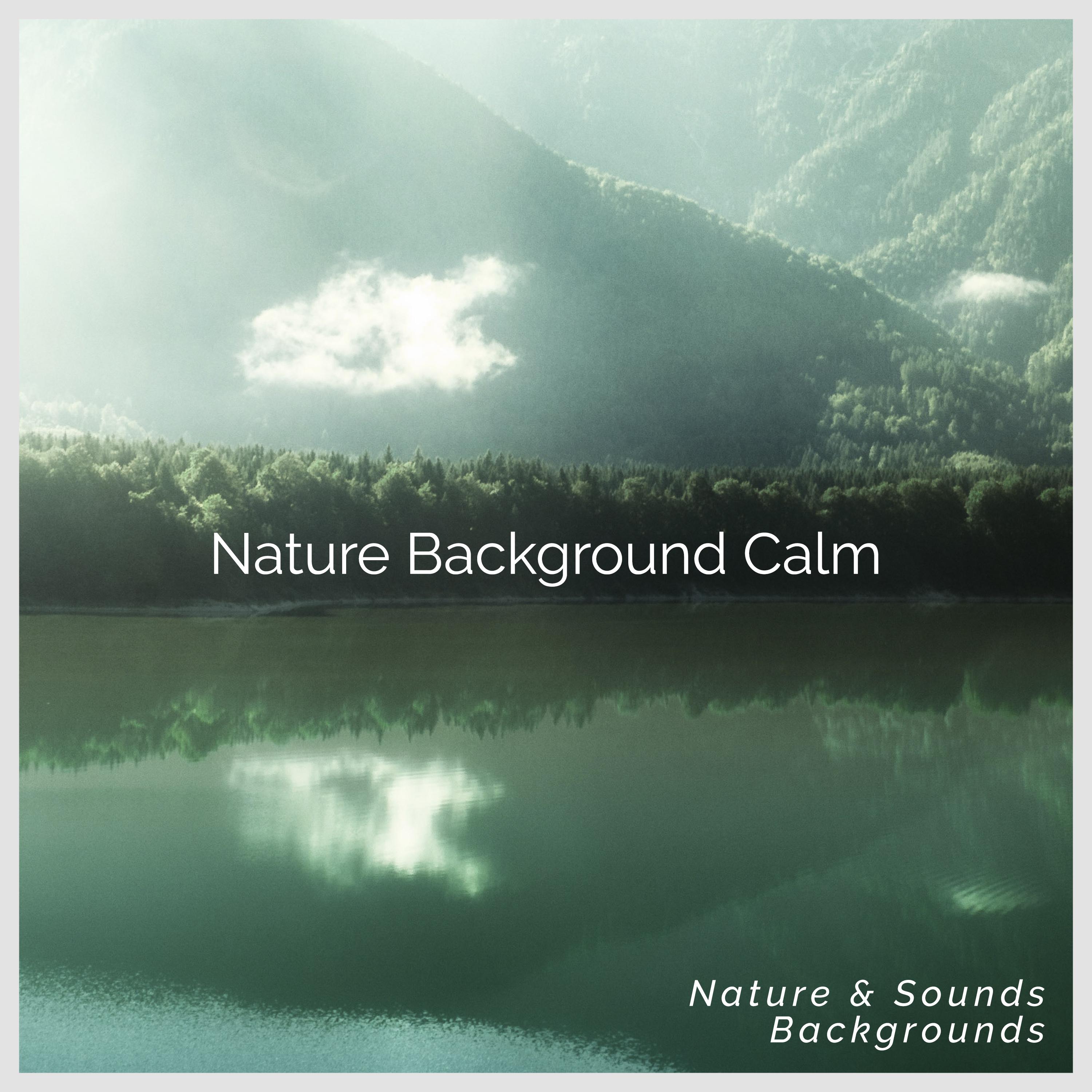 Nature Background Calm