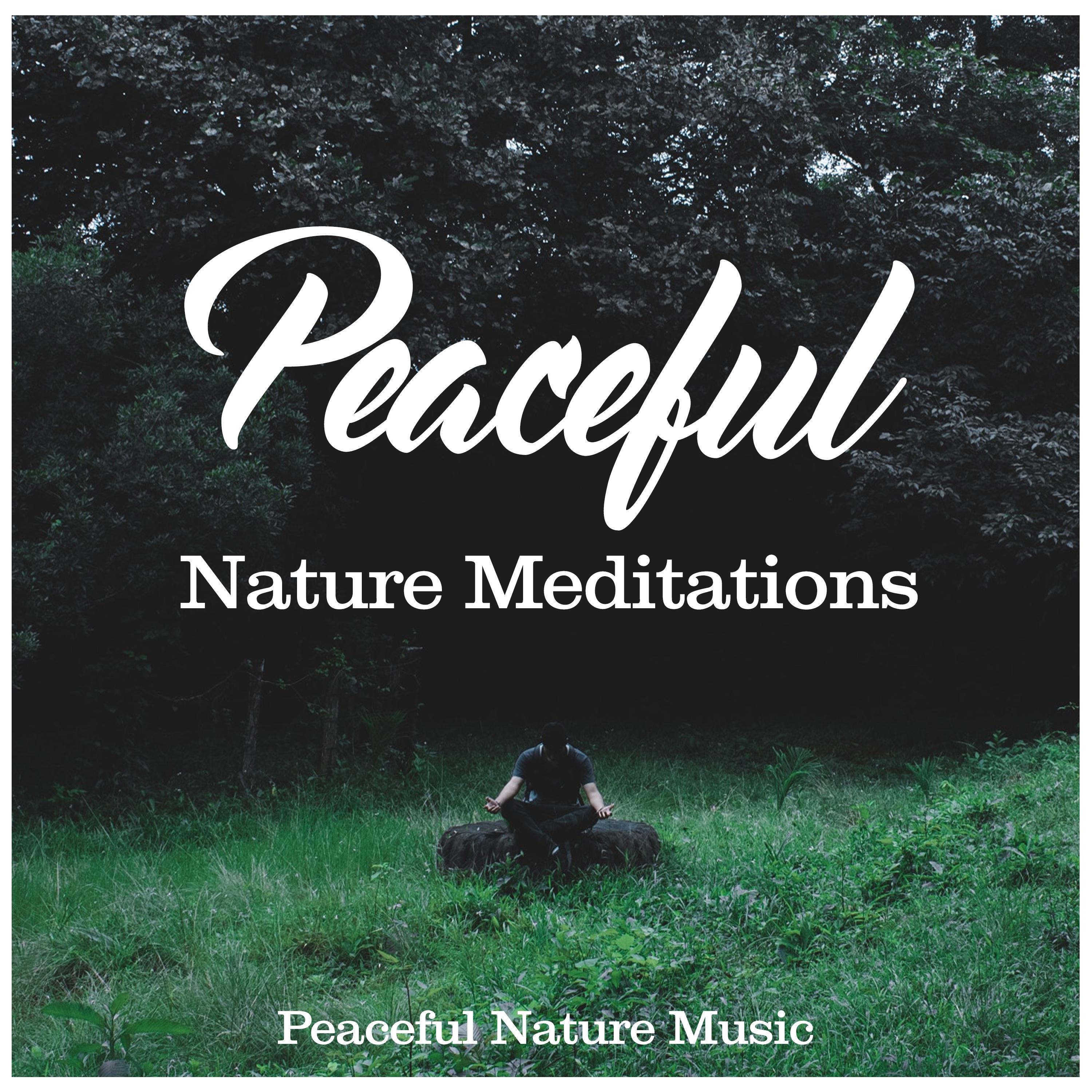 Peaceful Nature Meditations