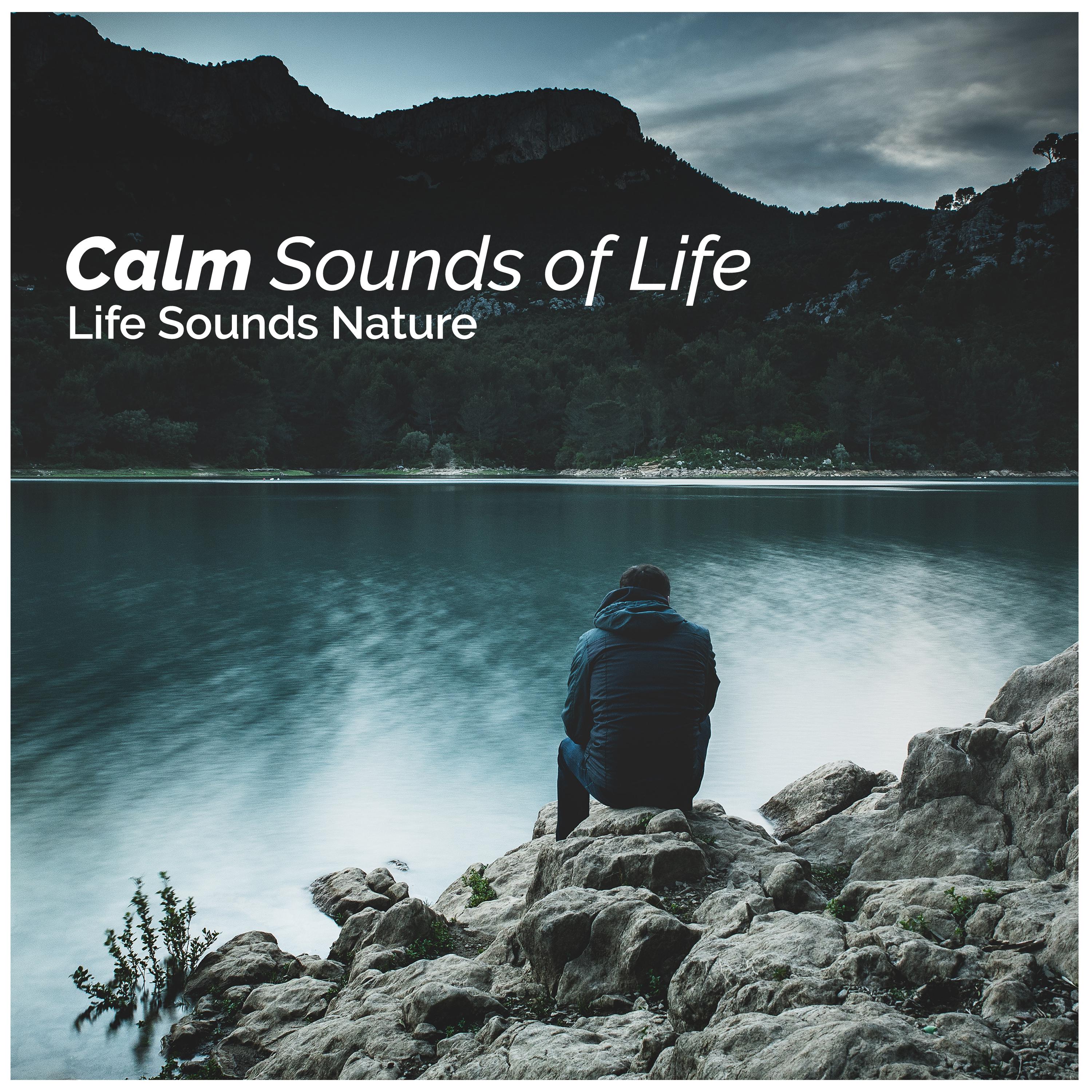 Calm Sounds of Life