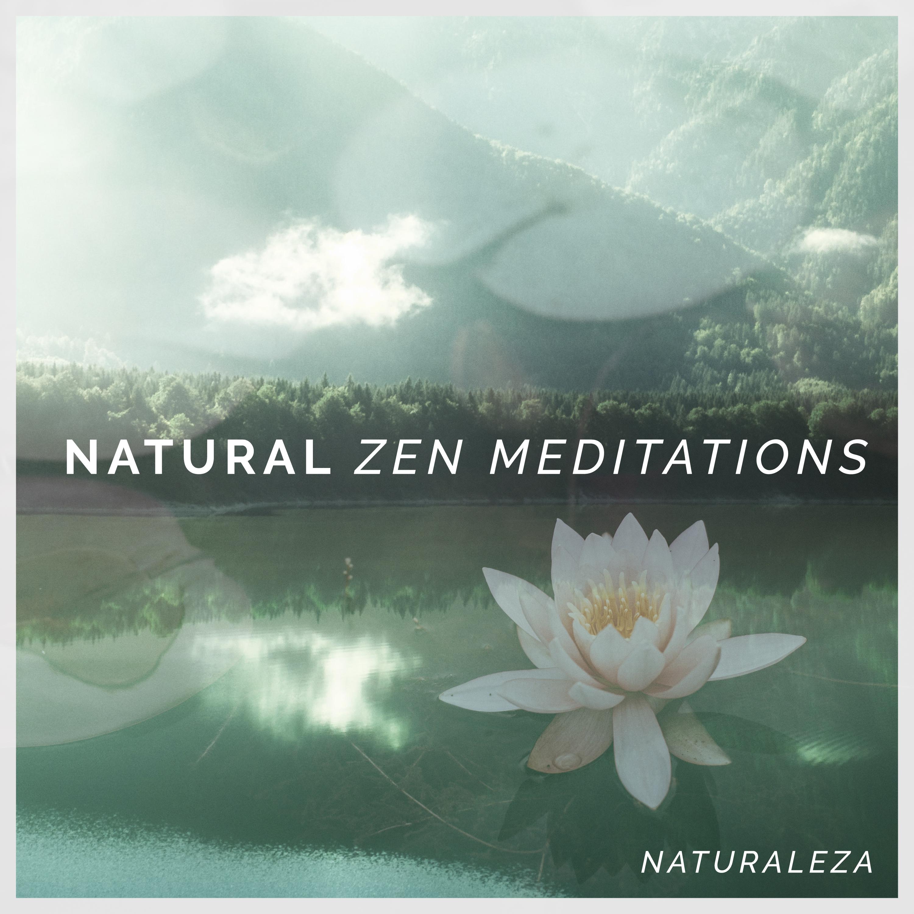 Natural Zen Meditations